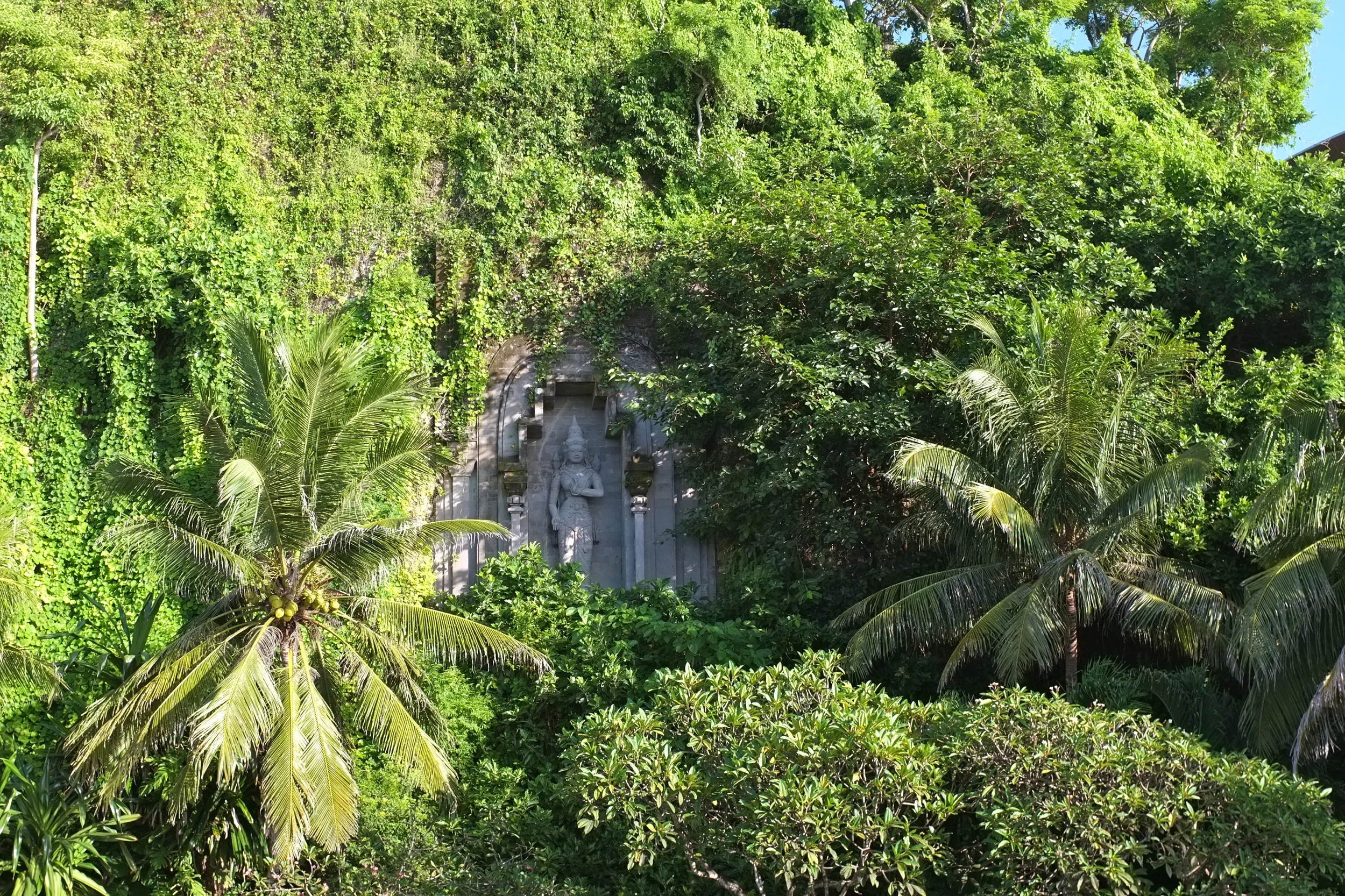 DSCF1130.JPG