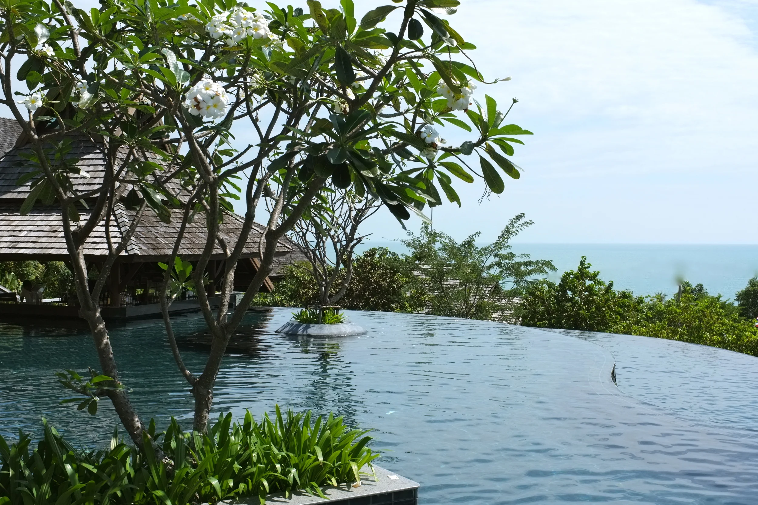 DSCF7494.JPG
