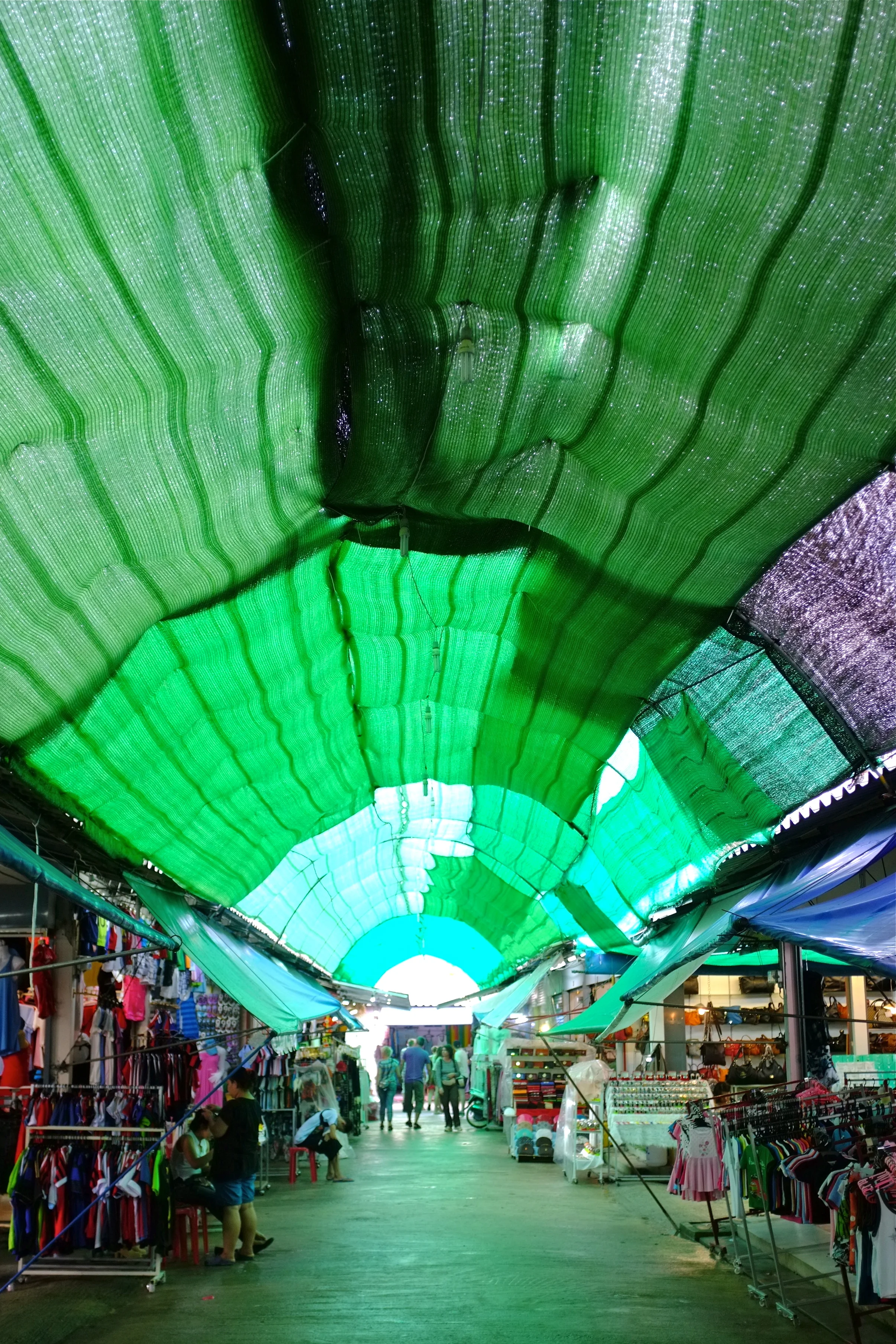 DSCF5499.jpg