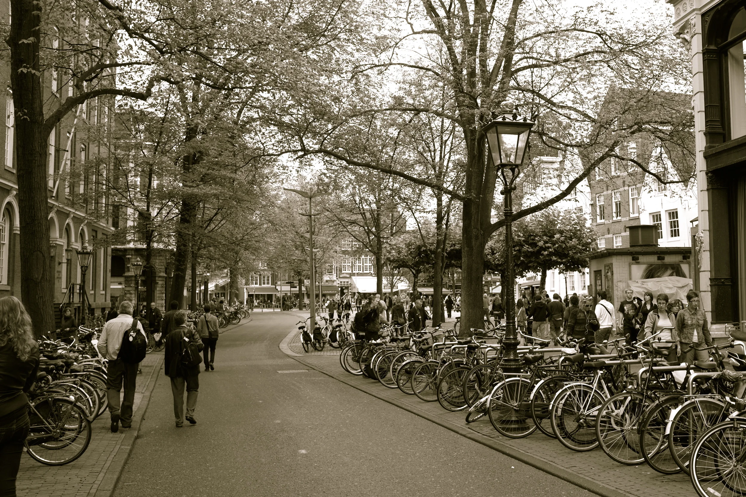 DSCF4519.JPG