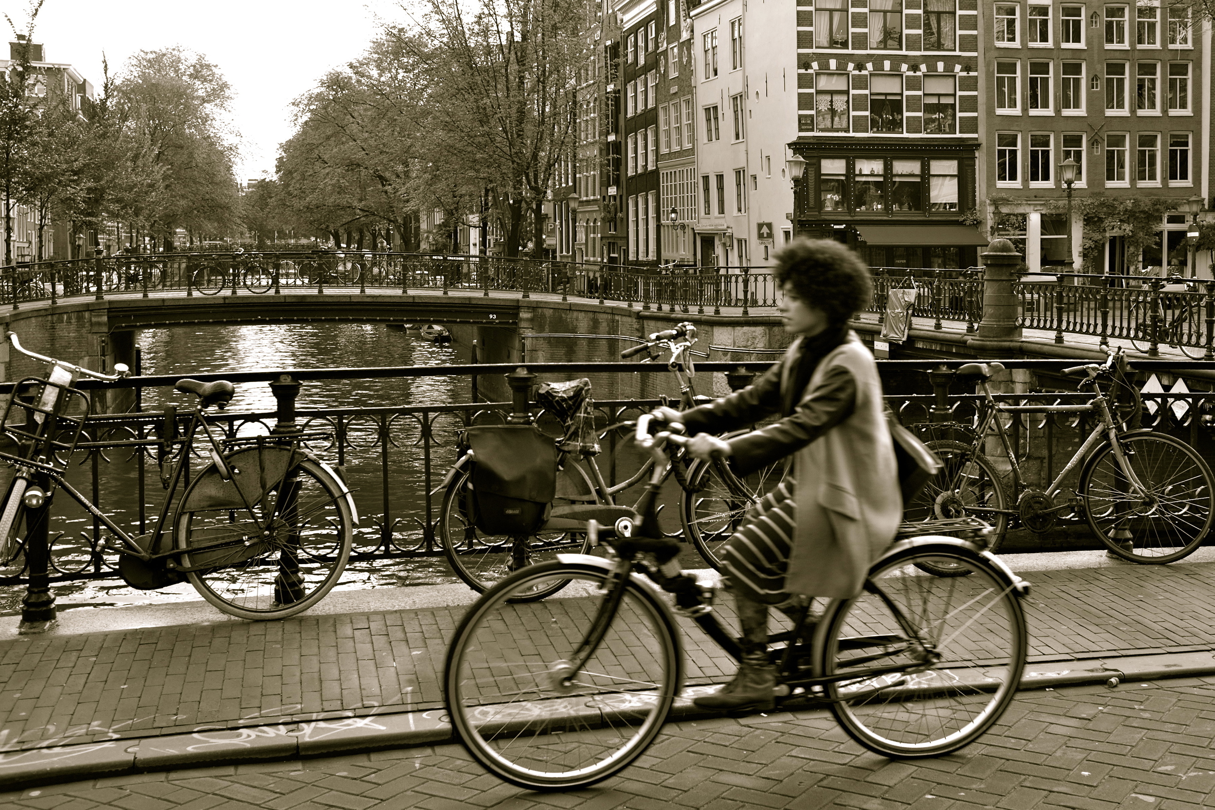 DSCF4534.JPG