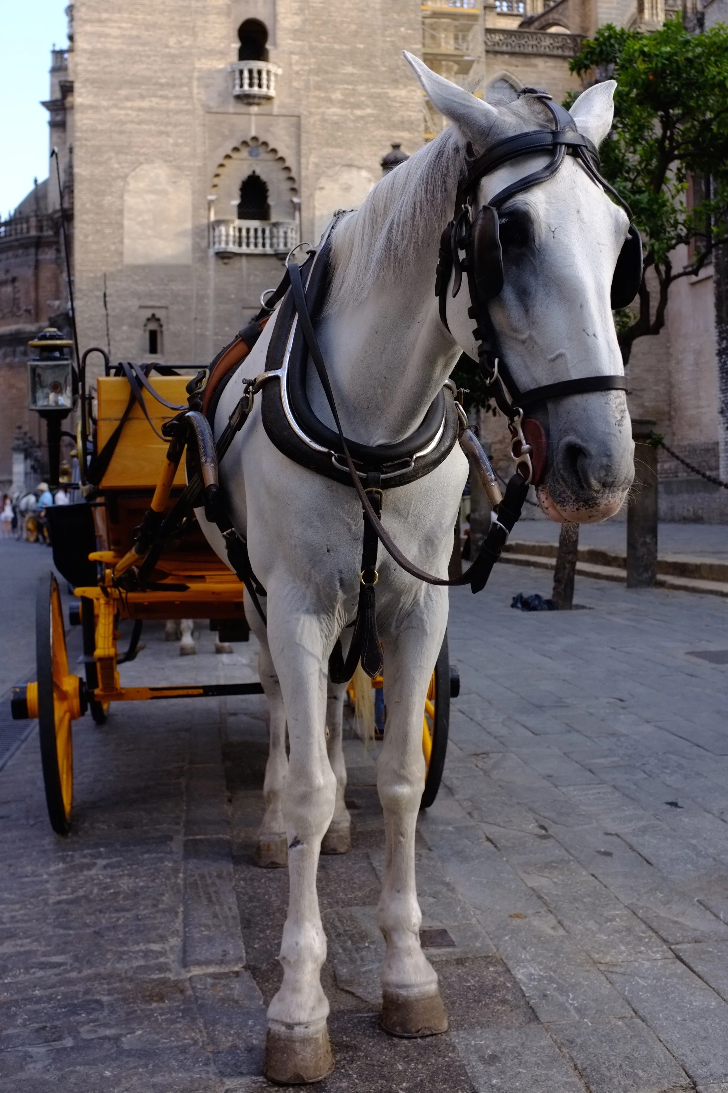 DSCF4025.jpg