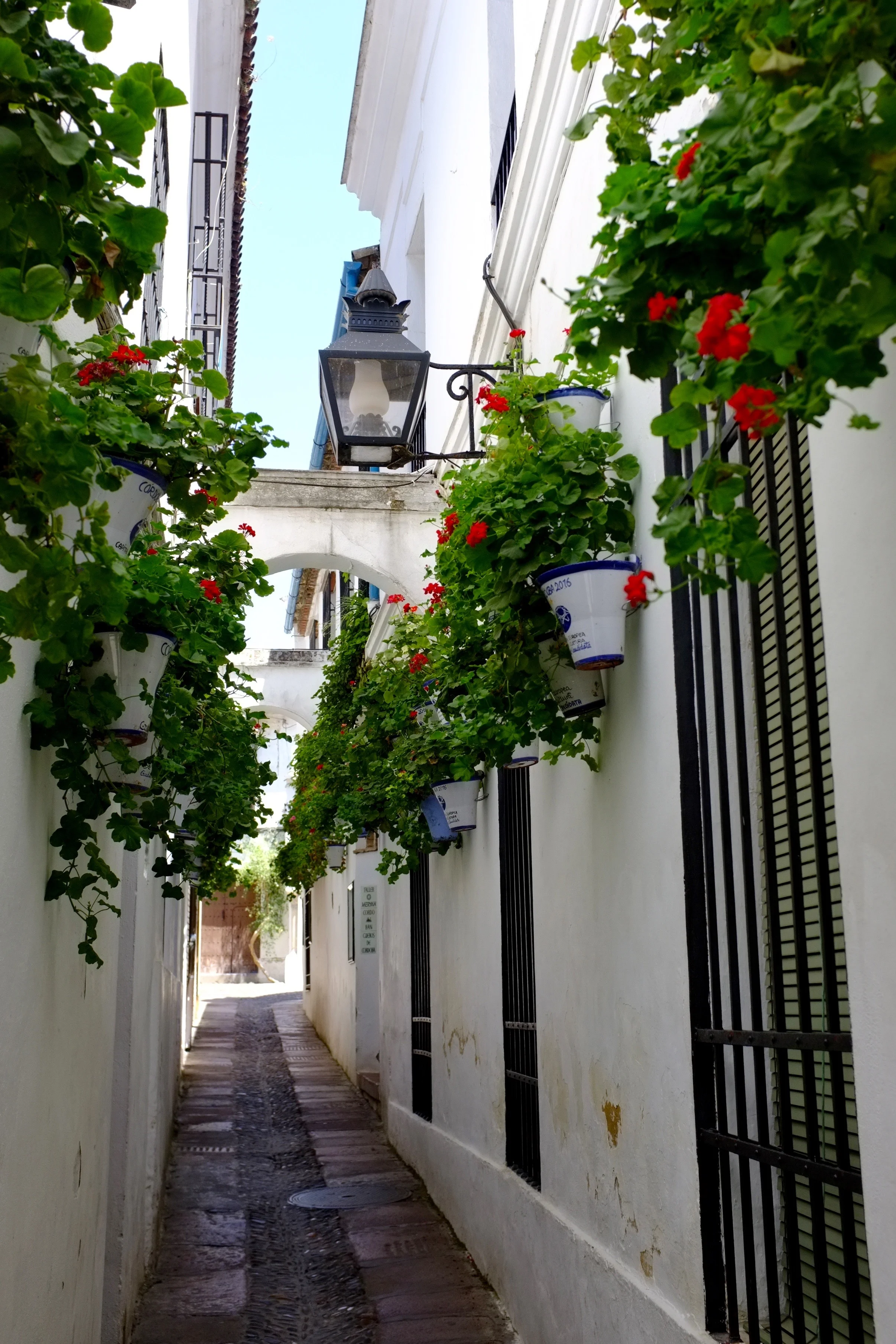 DSCF3905.jpg