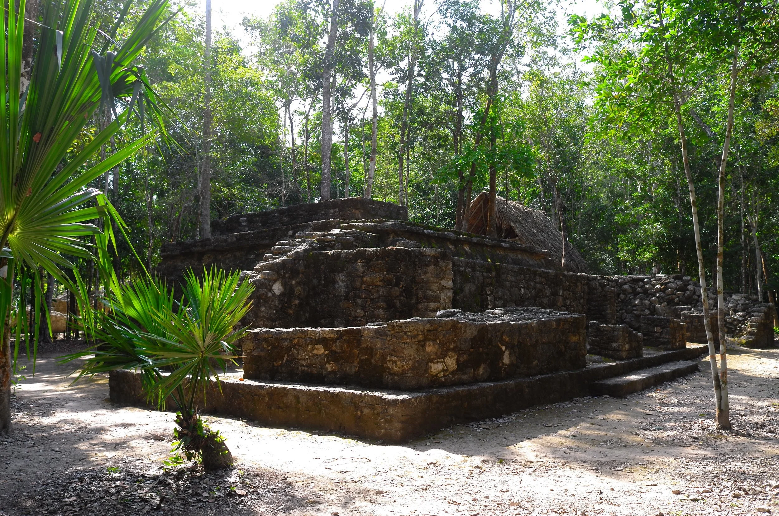 L1052295.jpg