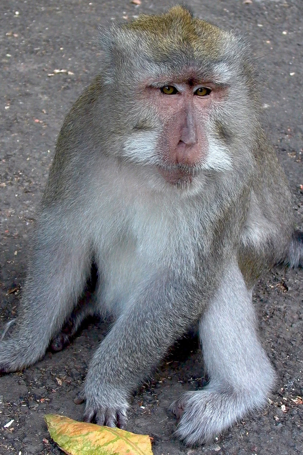 L1010661.jpg
