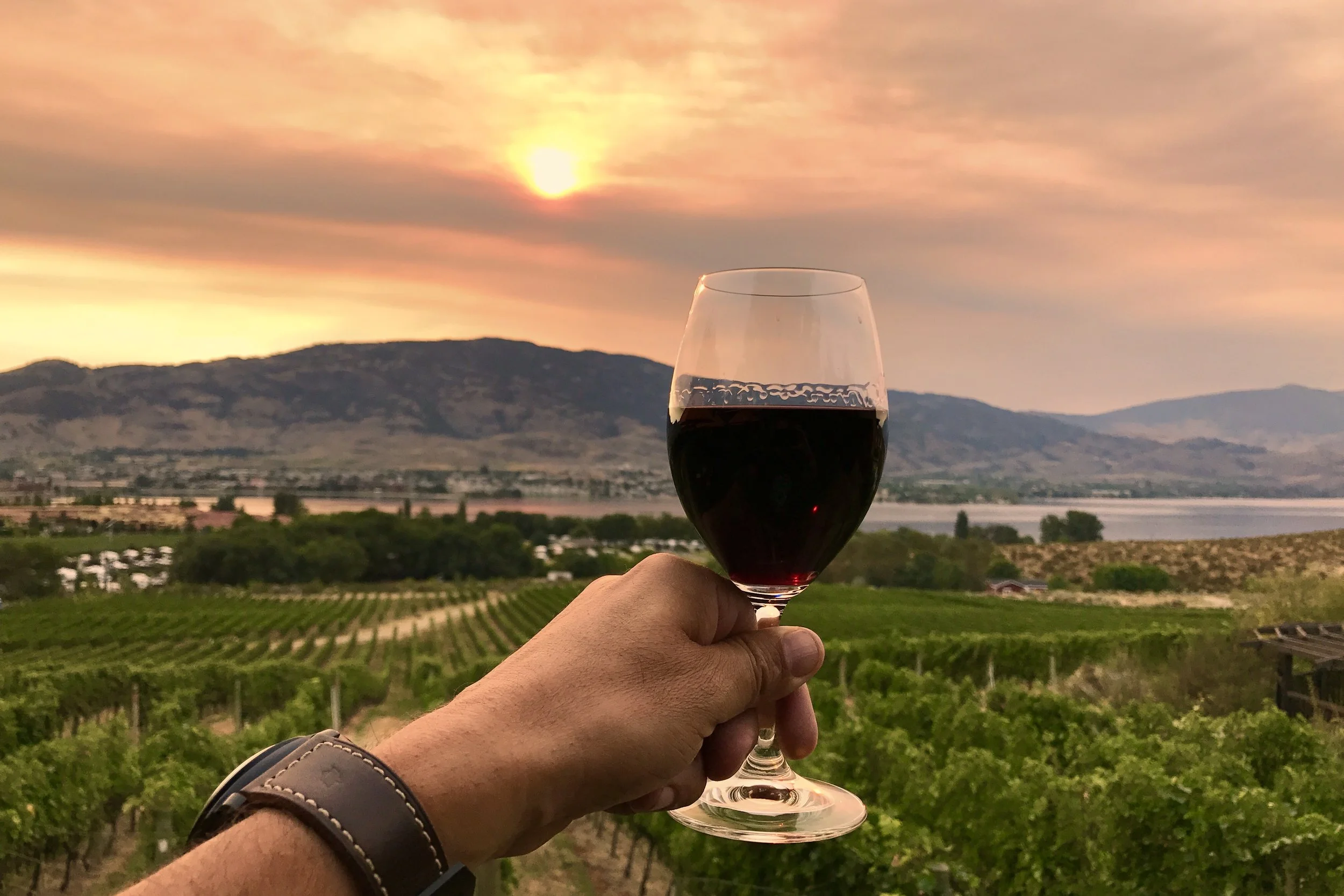 NK' MIP CELLARS