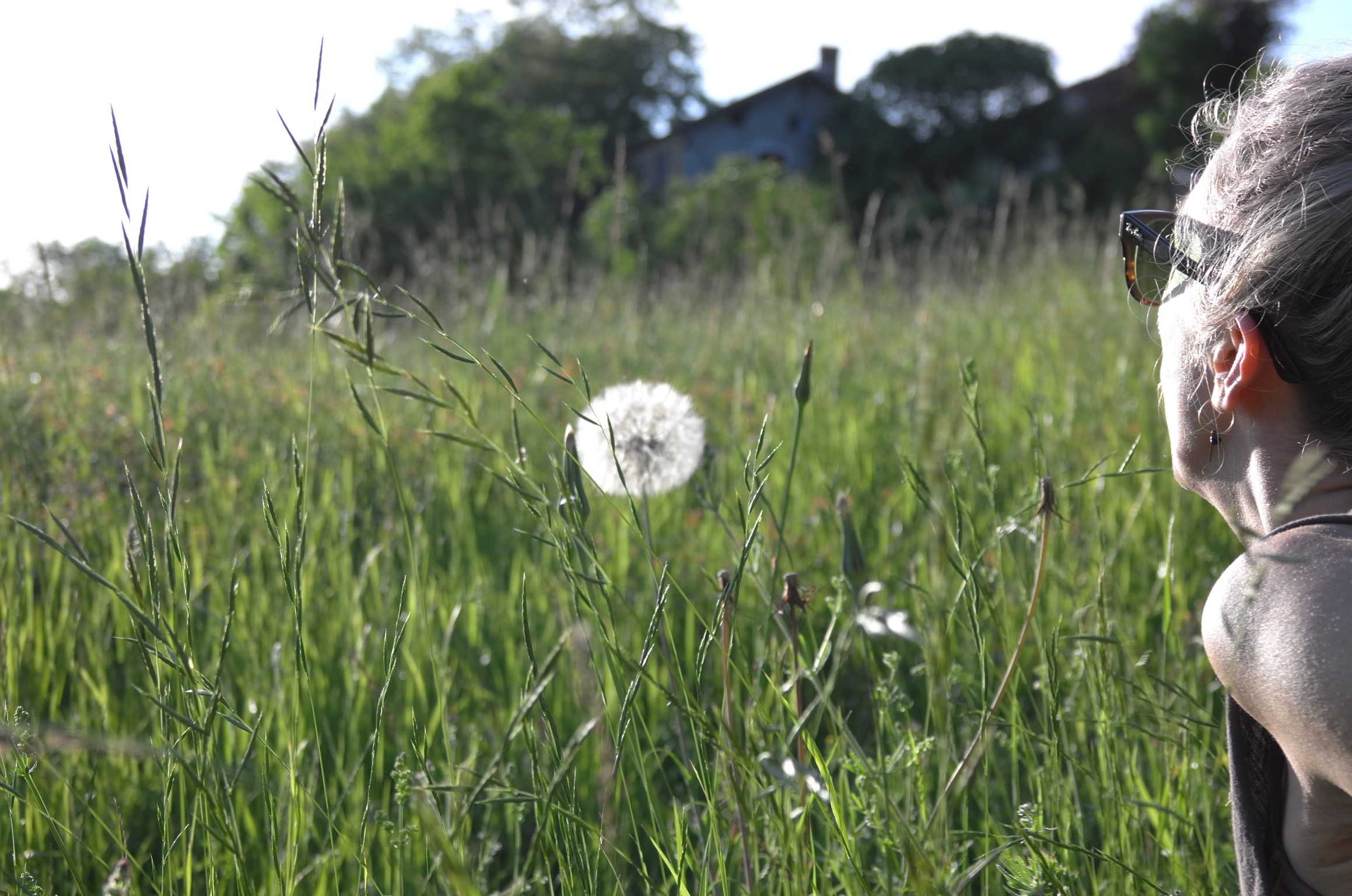 Montesquiou pop. 593 + 6!