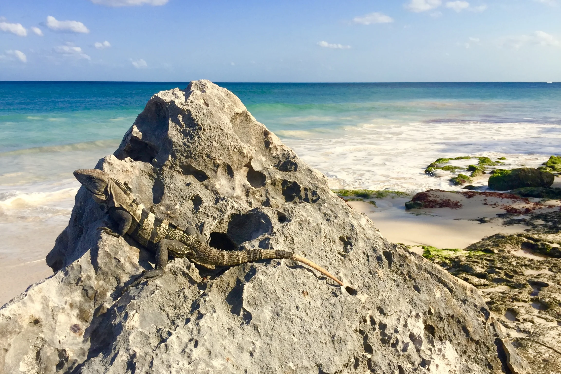 The correct guess is...TULUM!