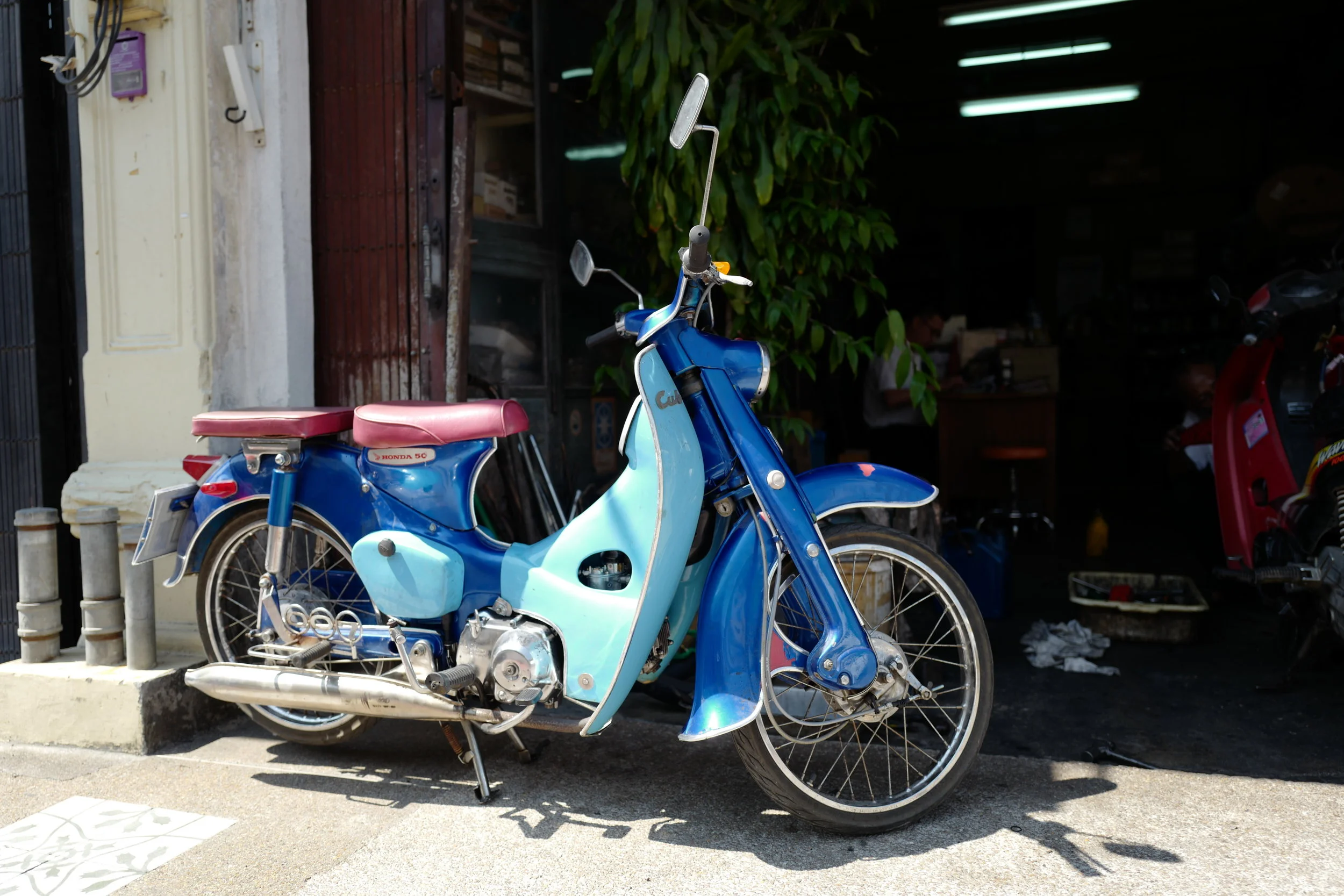 L1000563.jpg