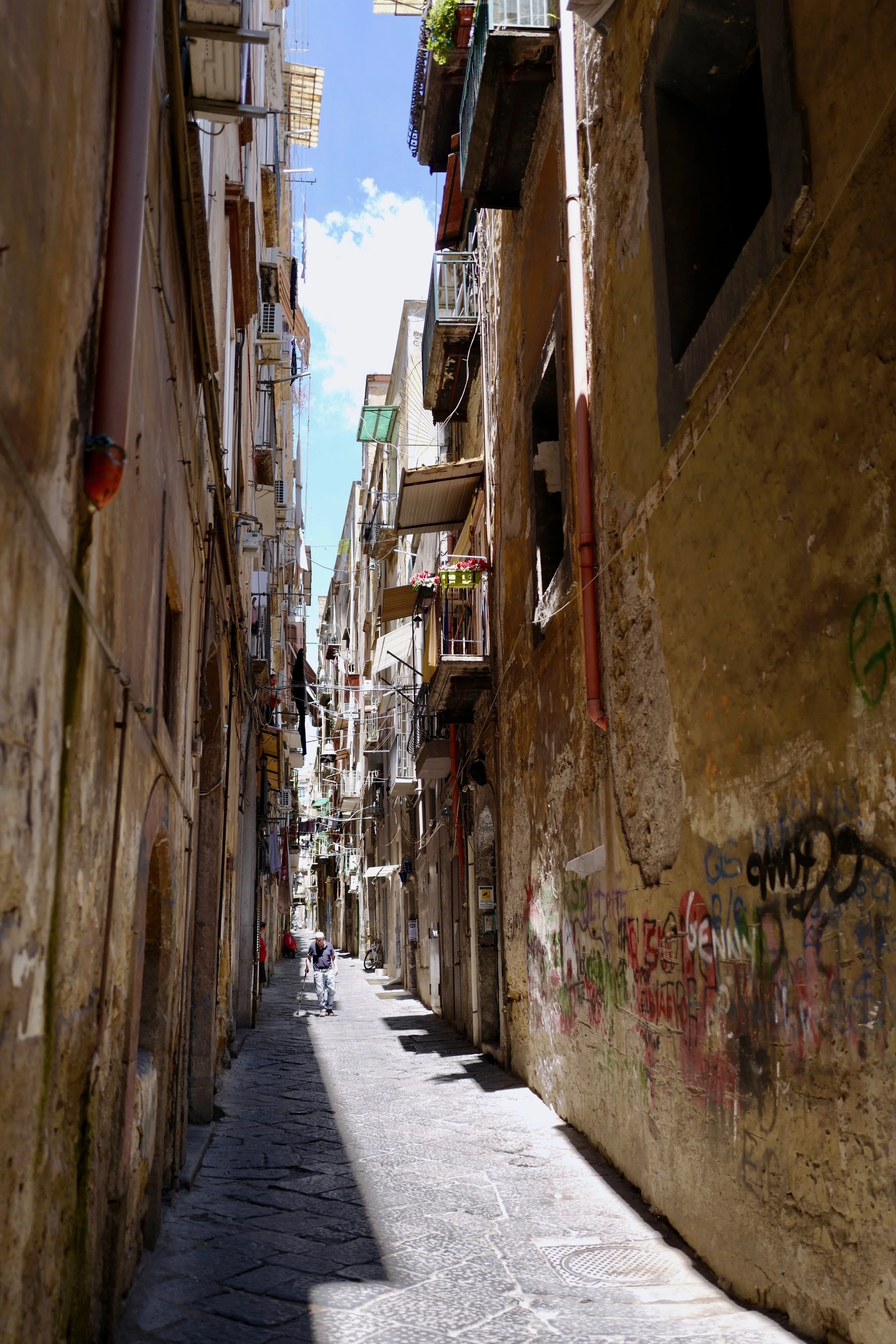 L1010416.jpg