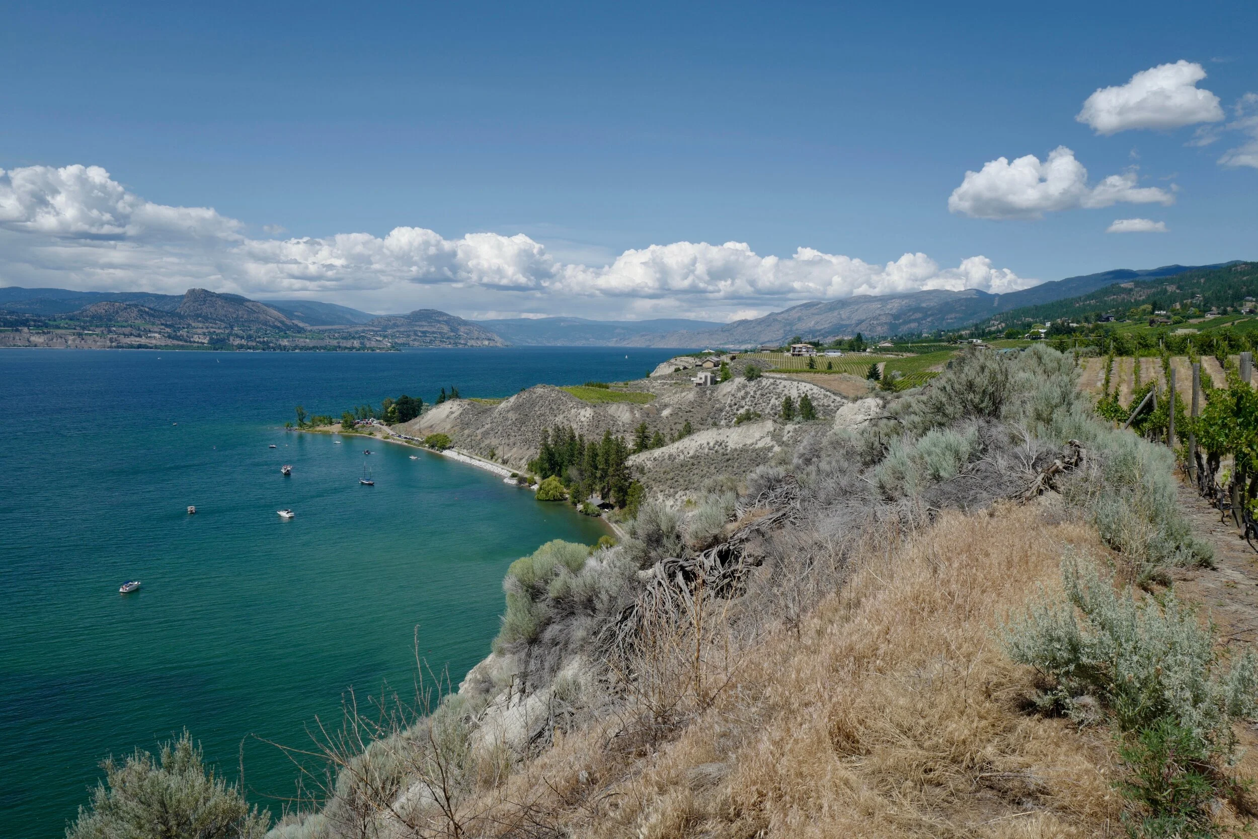 OKANAGAN VALLEY, BRITISH COLUMBIA JUNE 2019