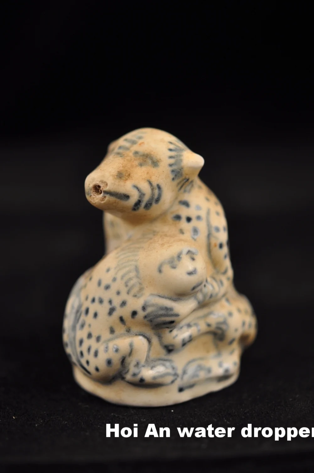 Hoi An water dropper