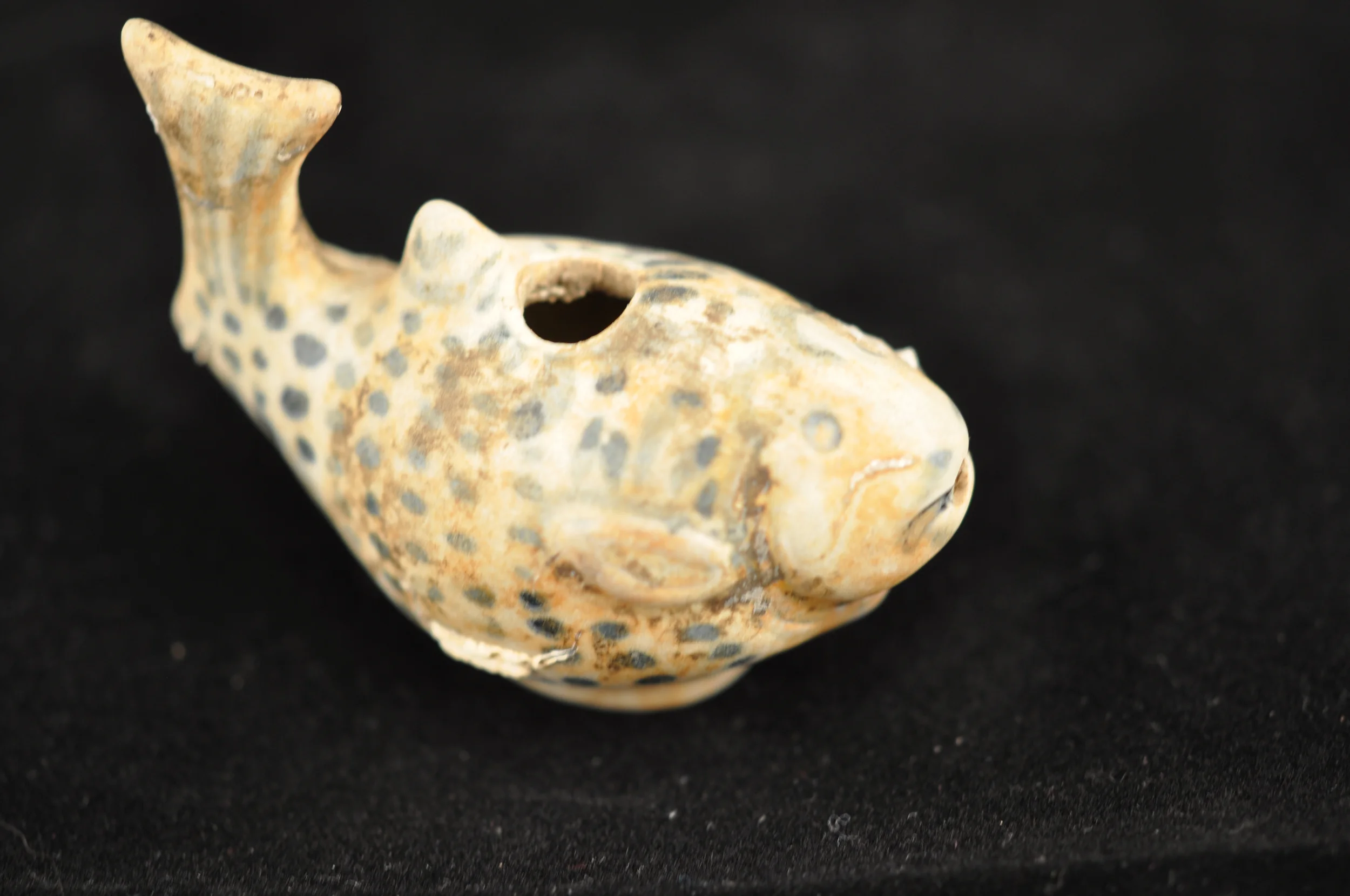 Hoi An water dropper