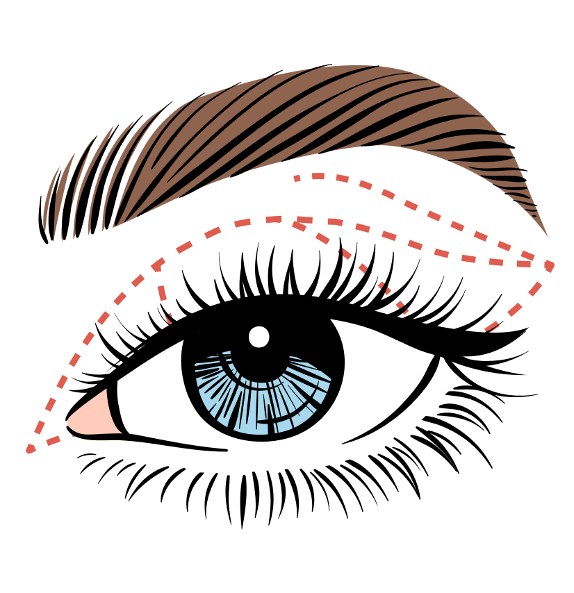 Professional eyeshadow application technique showing blending on the eyelid