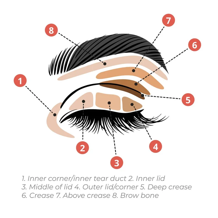 How to Apply Eyeshadow like a Pro: From Everyday to Glam with Expert Guide