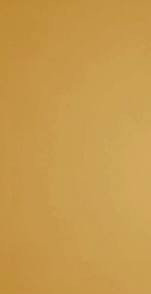 METALION33 LOGO AND ID