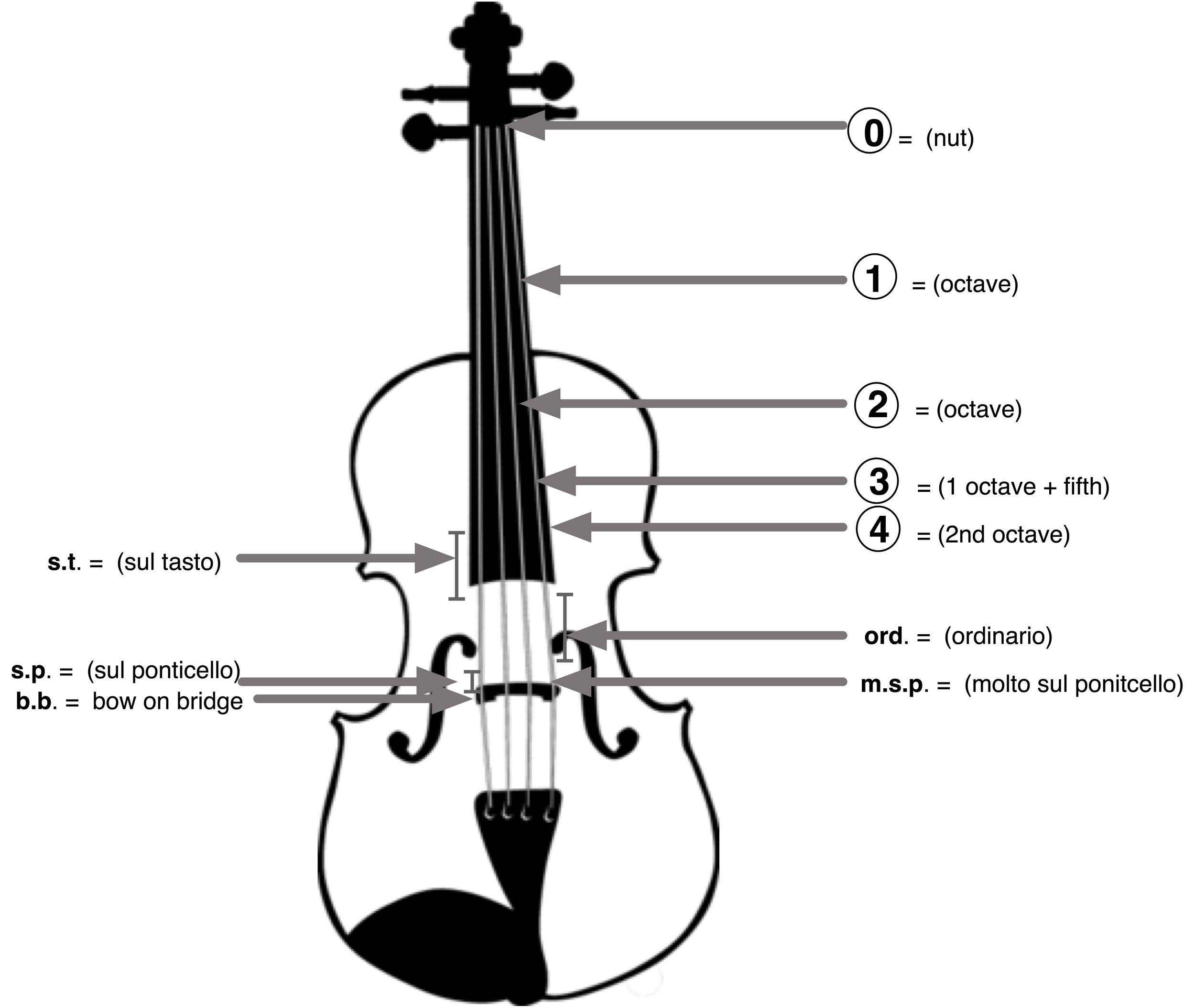 Diagram of bow placement options that create "organic filters"