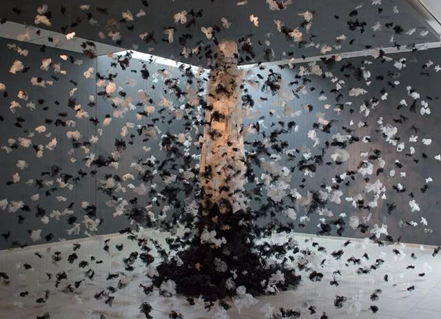 Installation from "The Weather Diaries" exhibit at ASI