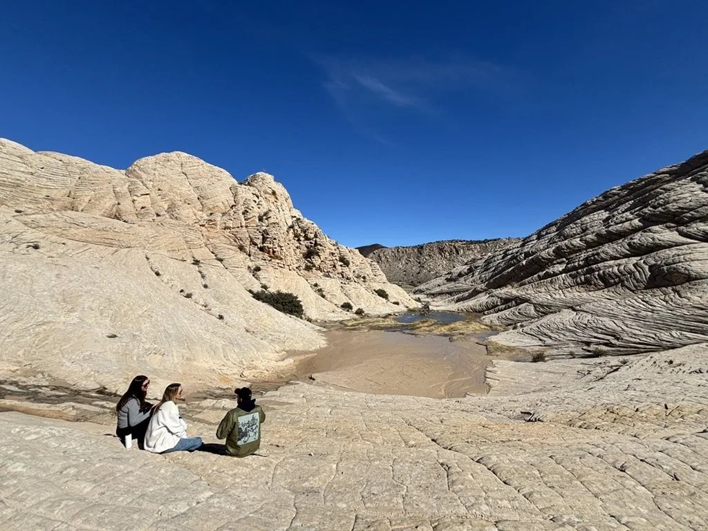 45E5903F-4427-4CCC-AA84-EF1B3CA8C3E0_1_105_c.jpeg