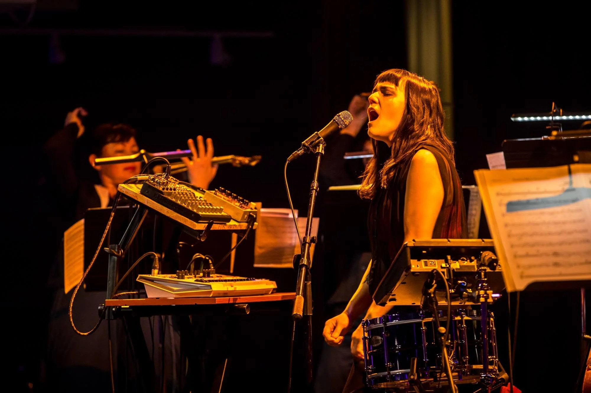 Emily Wells: <em>This World Is Too ______ For You</em> (world premiere)