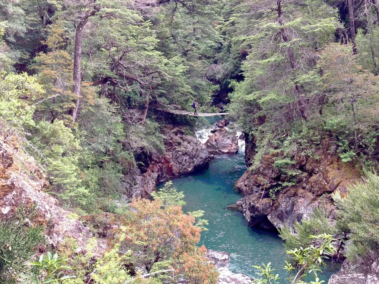 Aquatic Ecology: Reaching New Depths of Listening with Gabriella Smith and yMusic // Gabriel Cabezas + Nadia Sirota