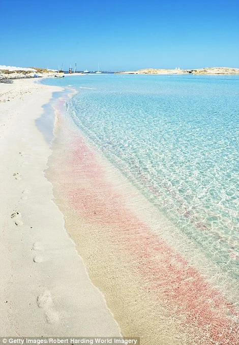playa.jpg