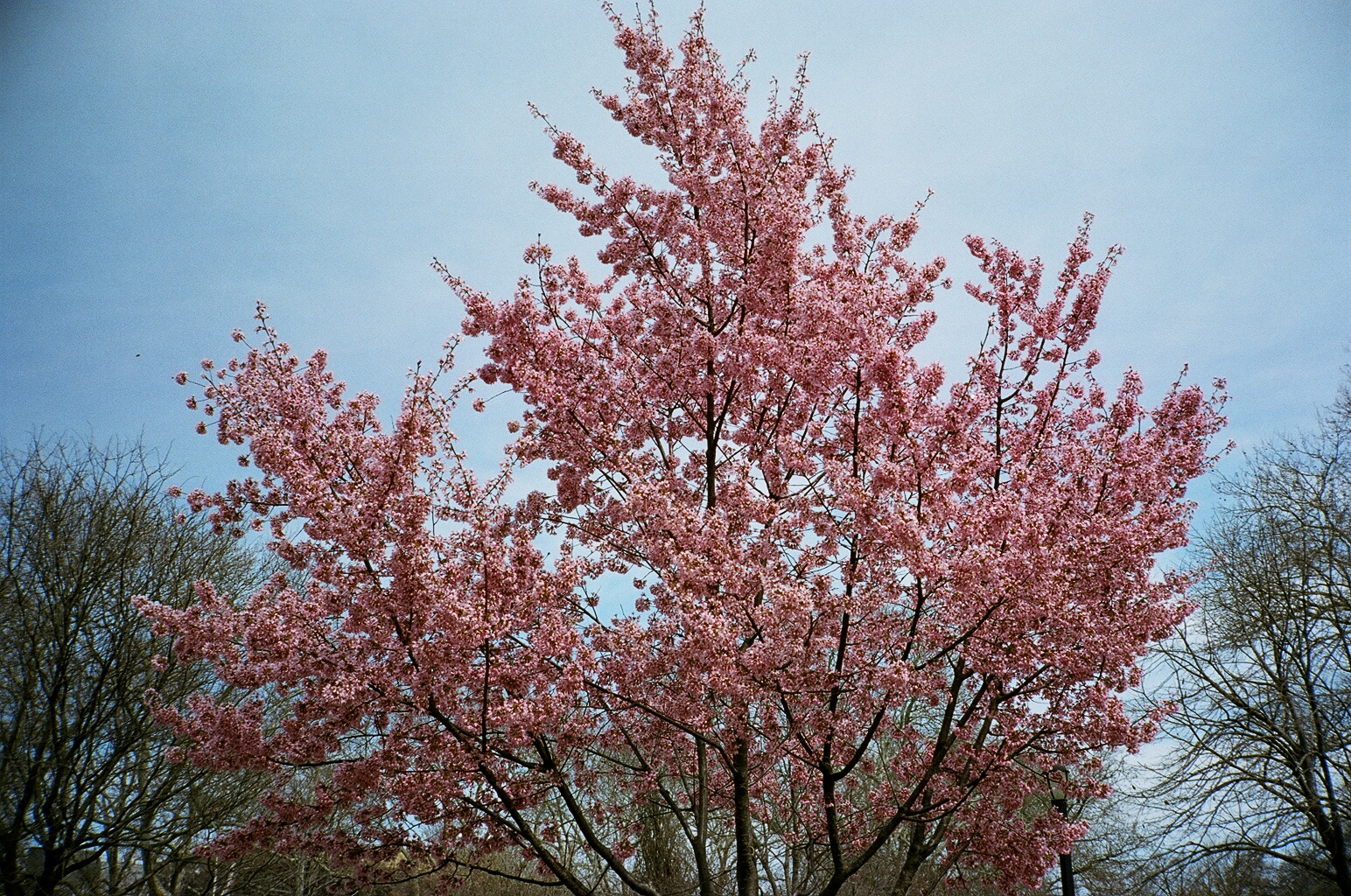 39290001.JPG
