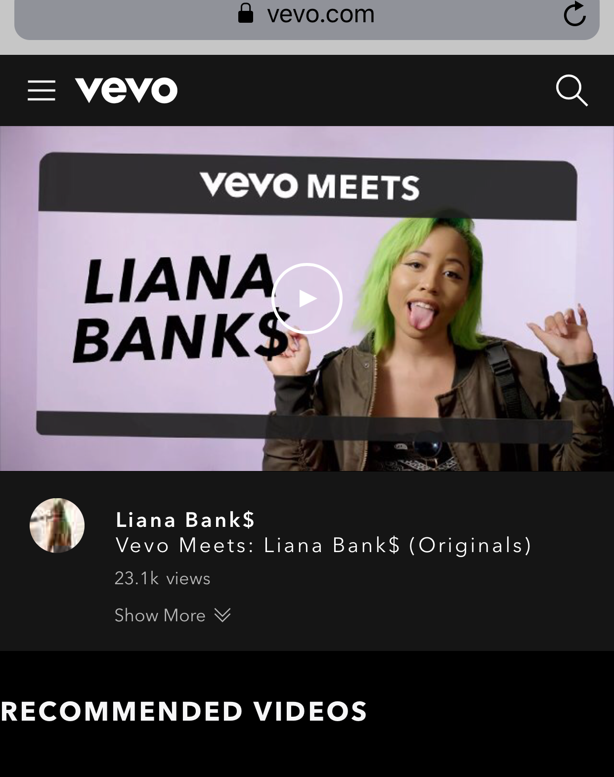 vevo 2.PNG