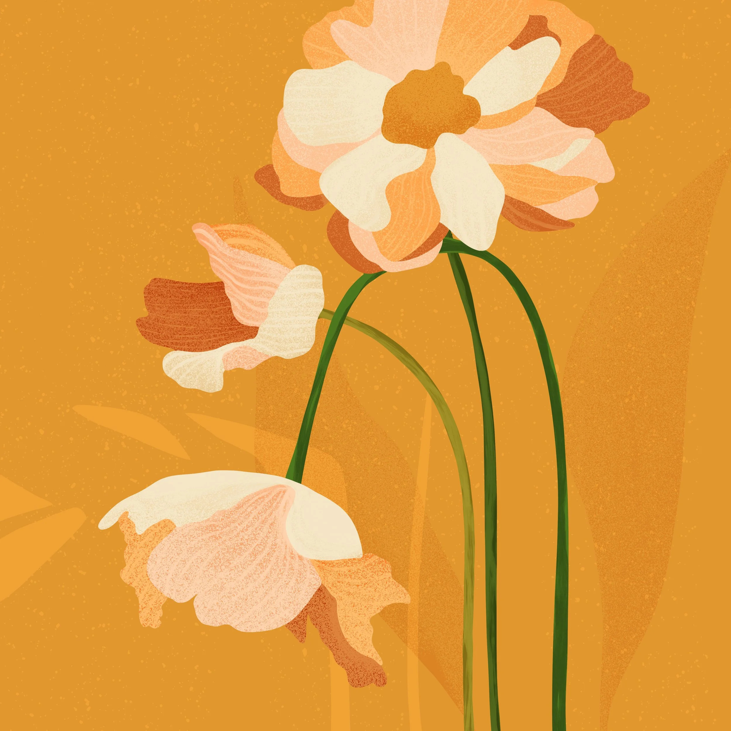 Untitled_Artwork copy 2.jpg