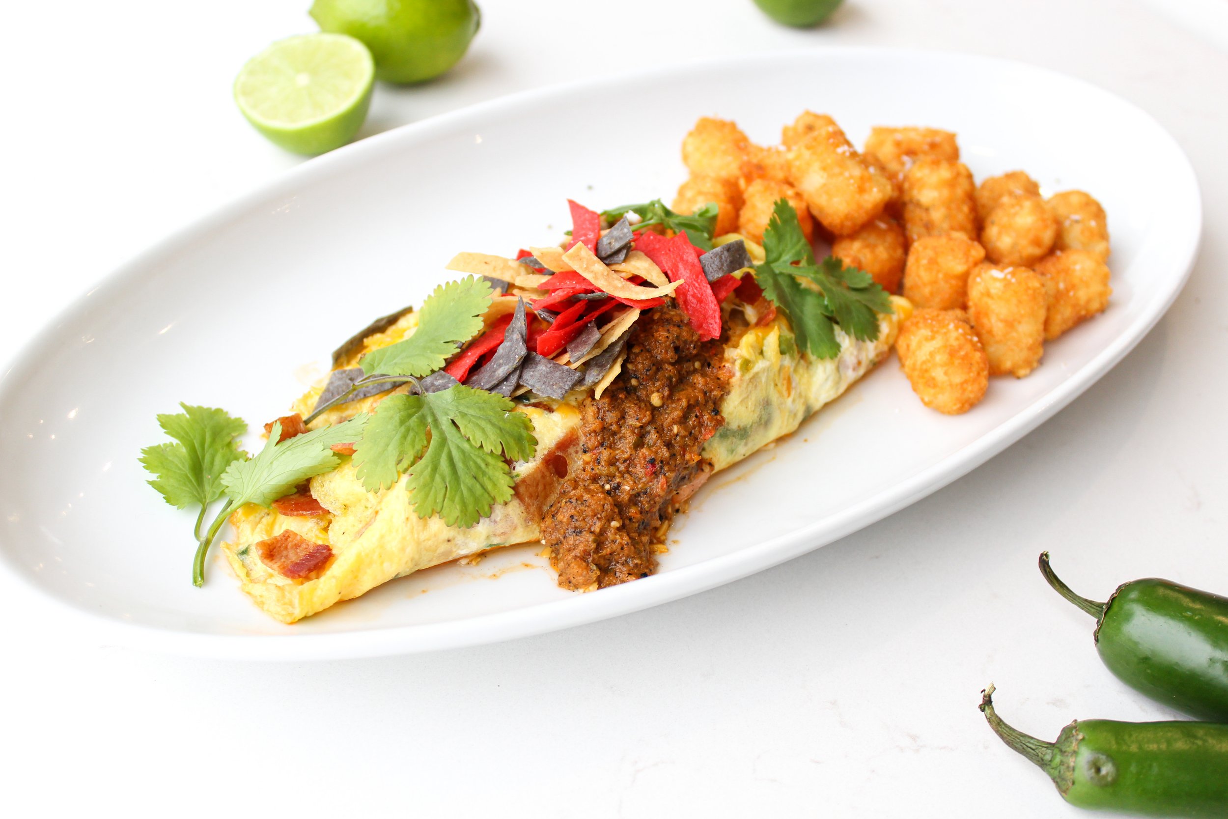 Mexican Omelet