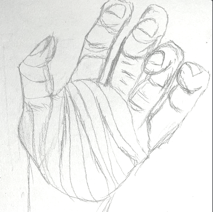 blind contour