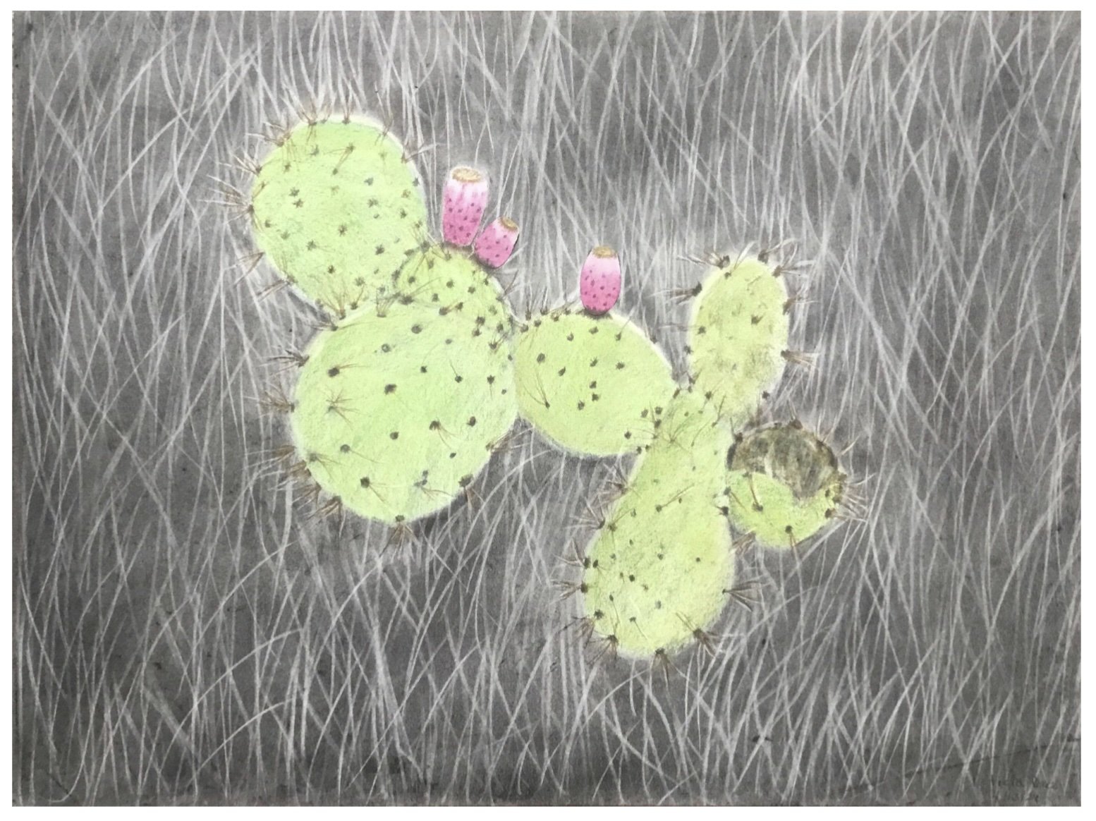 Tish Cactus.jpg