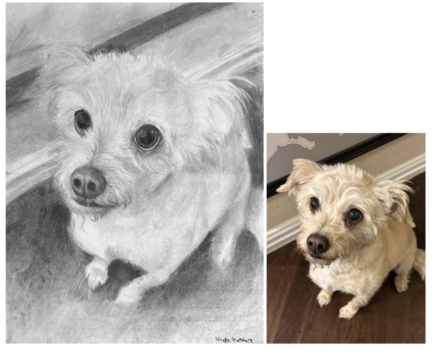 Noelle Martinez foreshortening animal.jpg