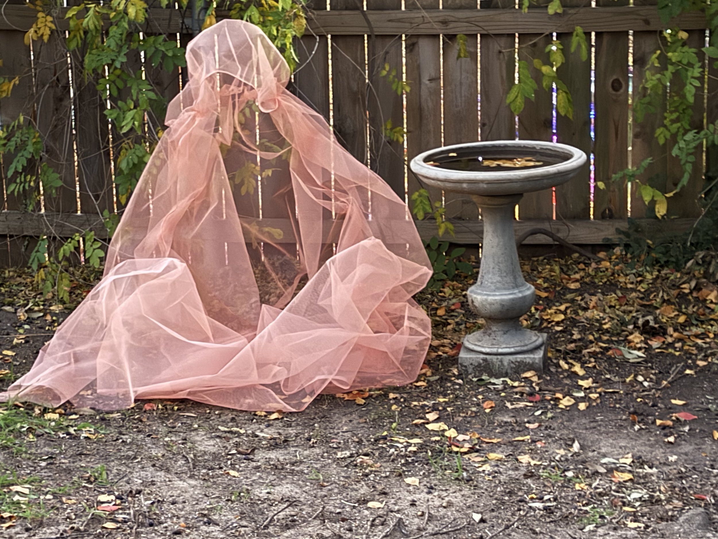 Ghost sighting 4.jpg