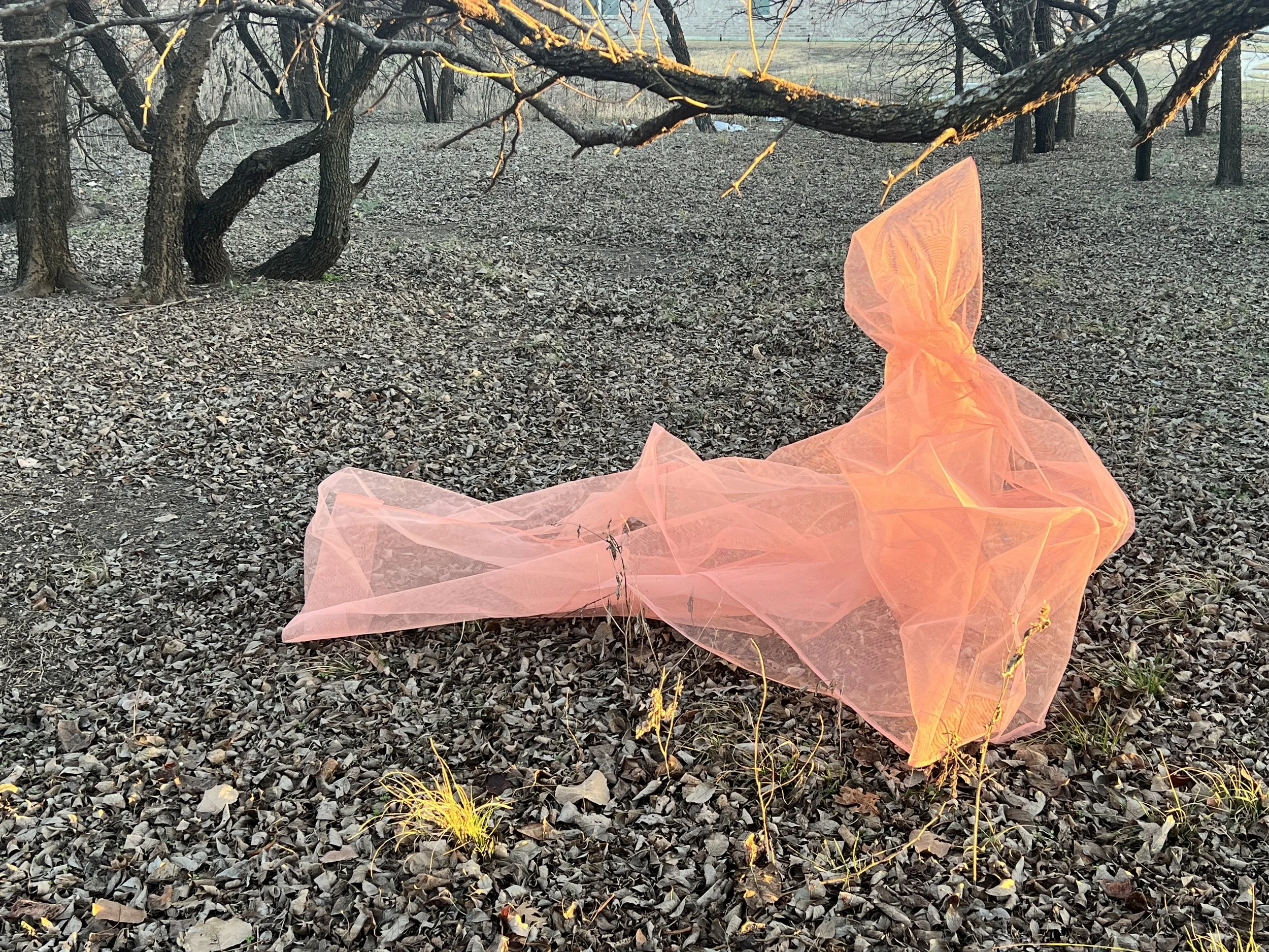 Ghost Morning (Reclining)