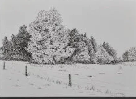 Micron on vellum.jpg