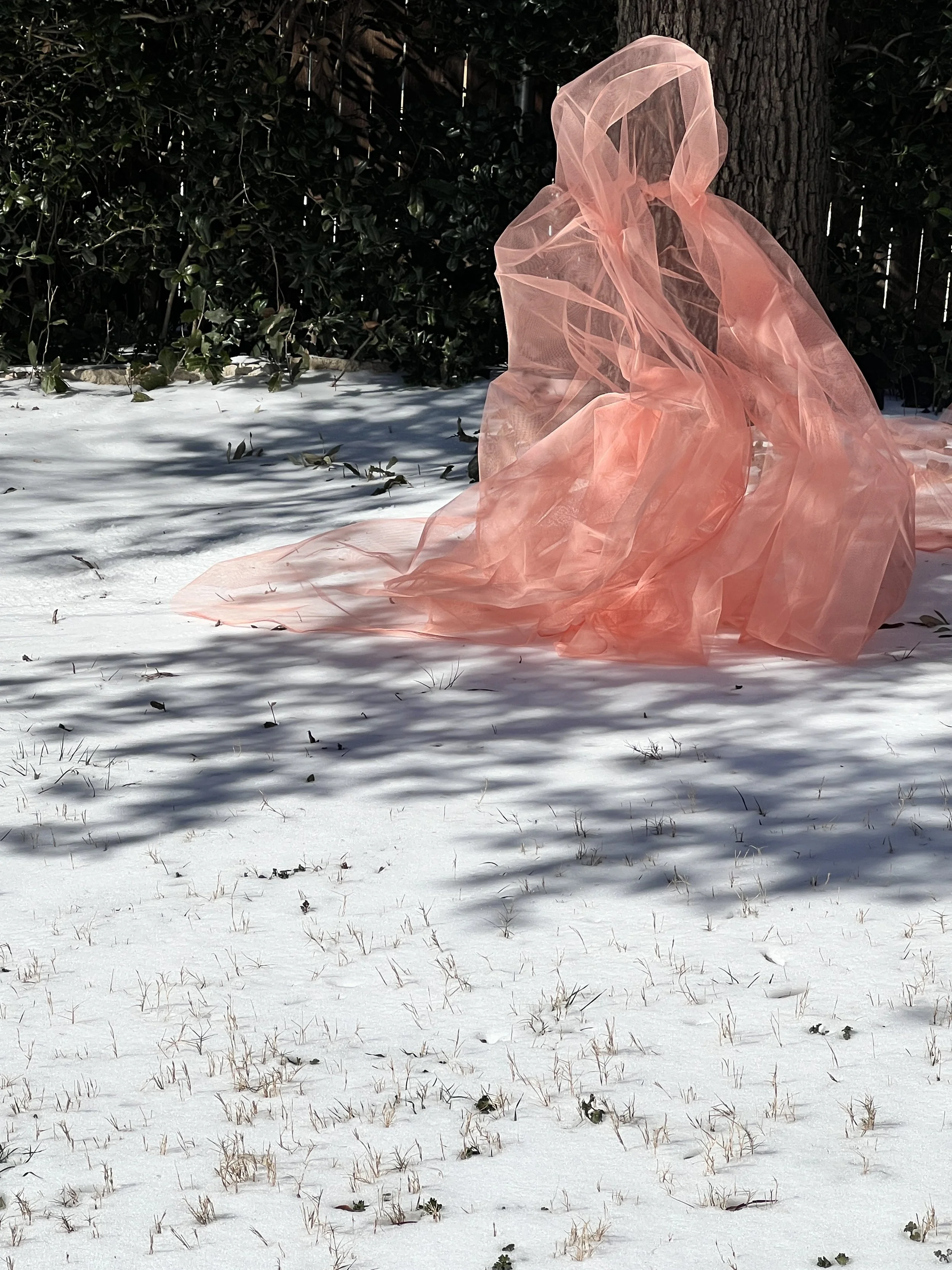 Snow Ghost without Birdbath.jpg