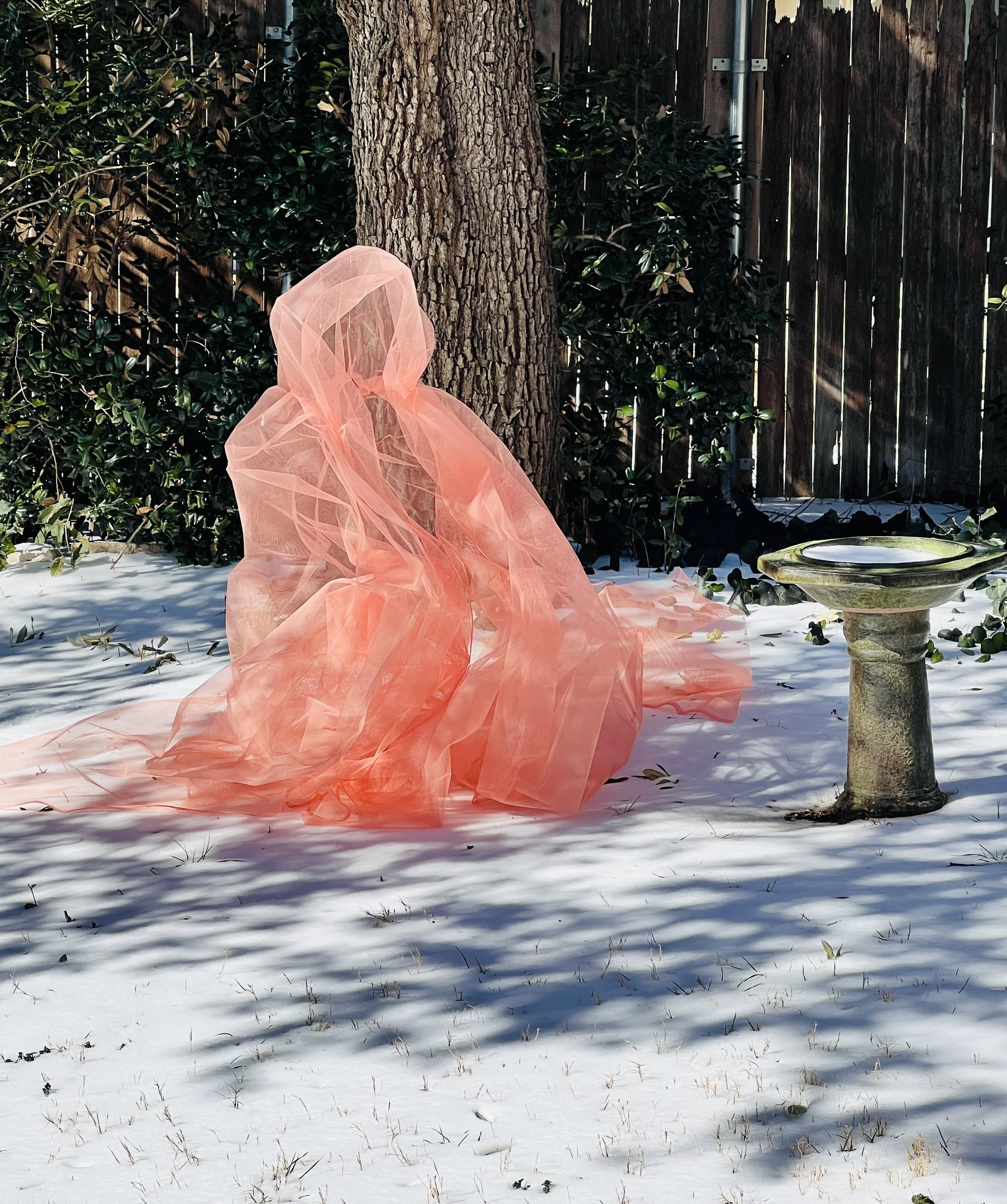 Winter Ghost
