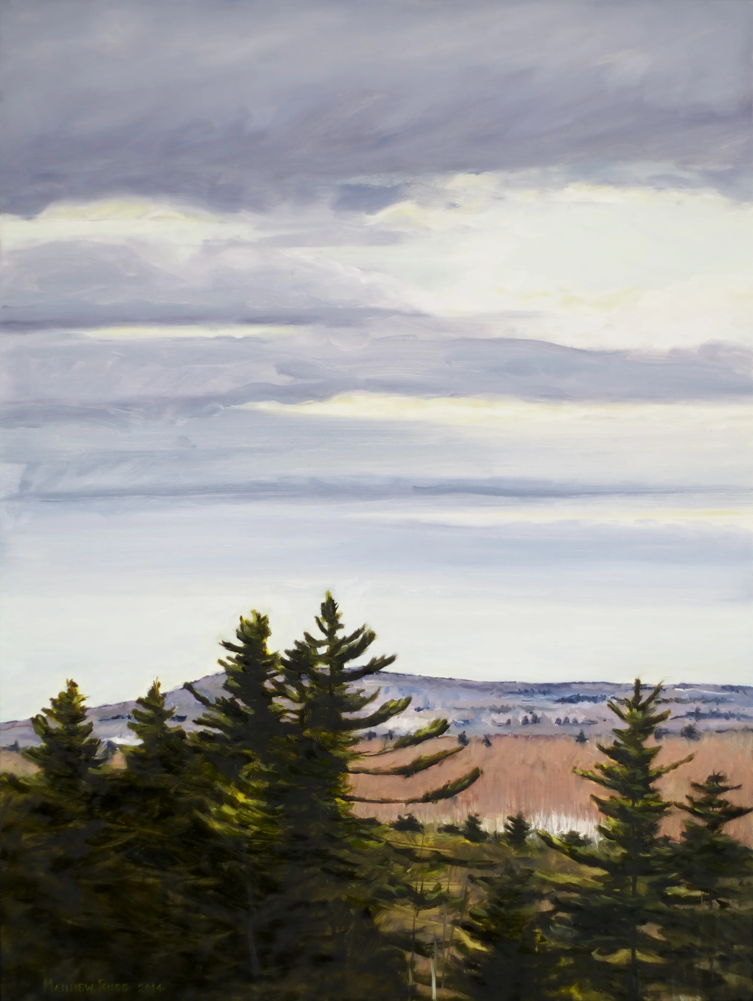 Trees on Tower Hill #5, 2014, Oil on Panel, 24" x 18"