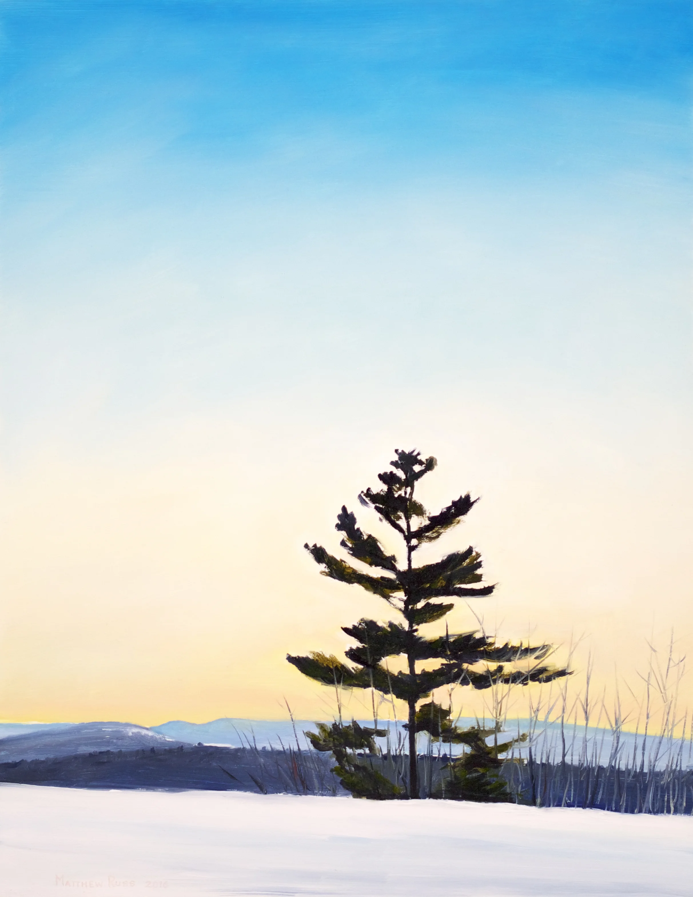 Tree on Vienna Mountain #5, 2016, Oil on Panel, 18" x 14"