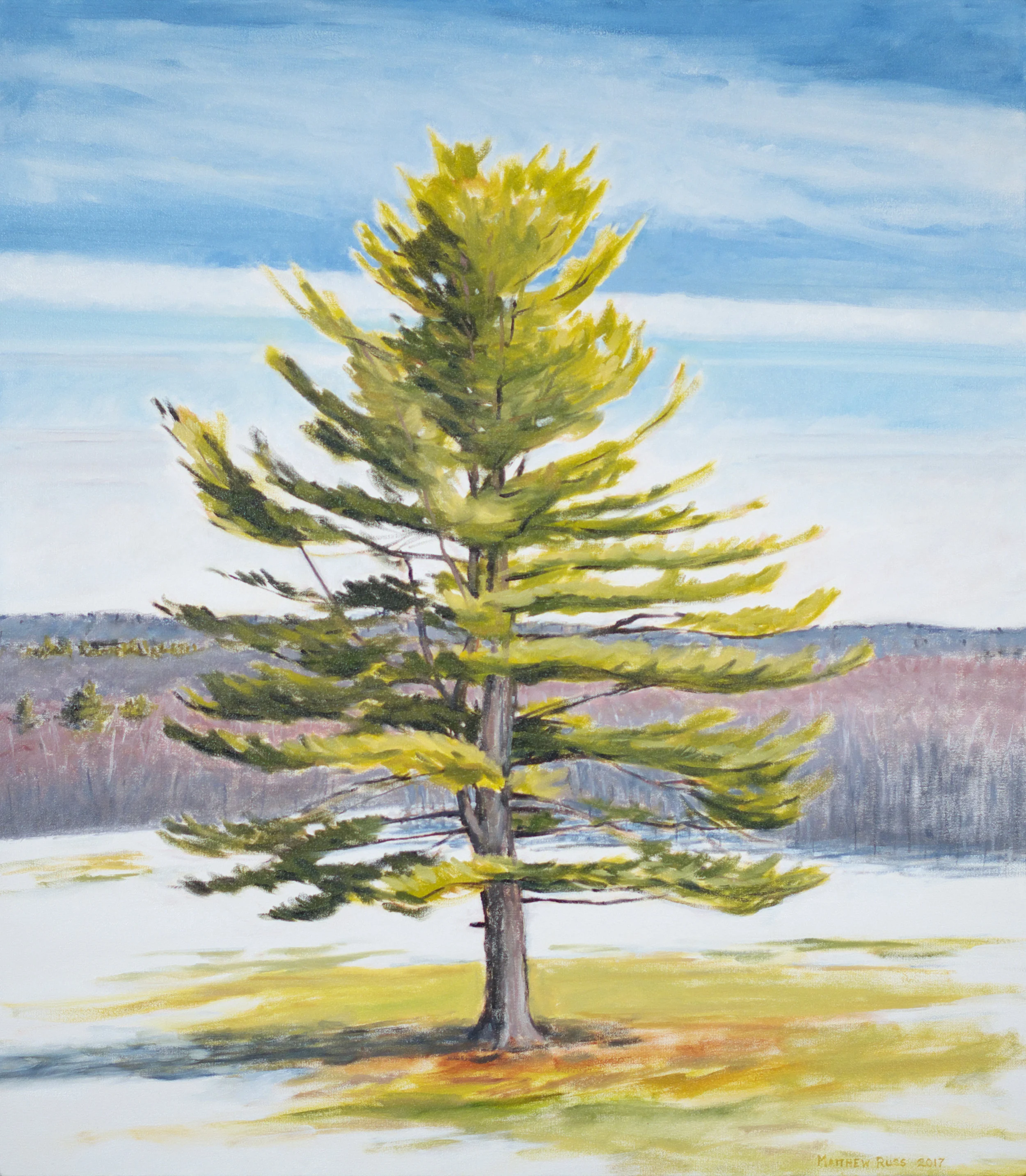 Spring at Pine Ridge #2, 2017, Oil on Canvas, 32" x 28"
