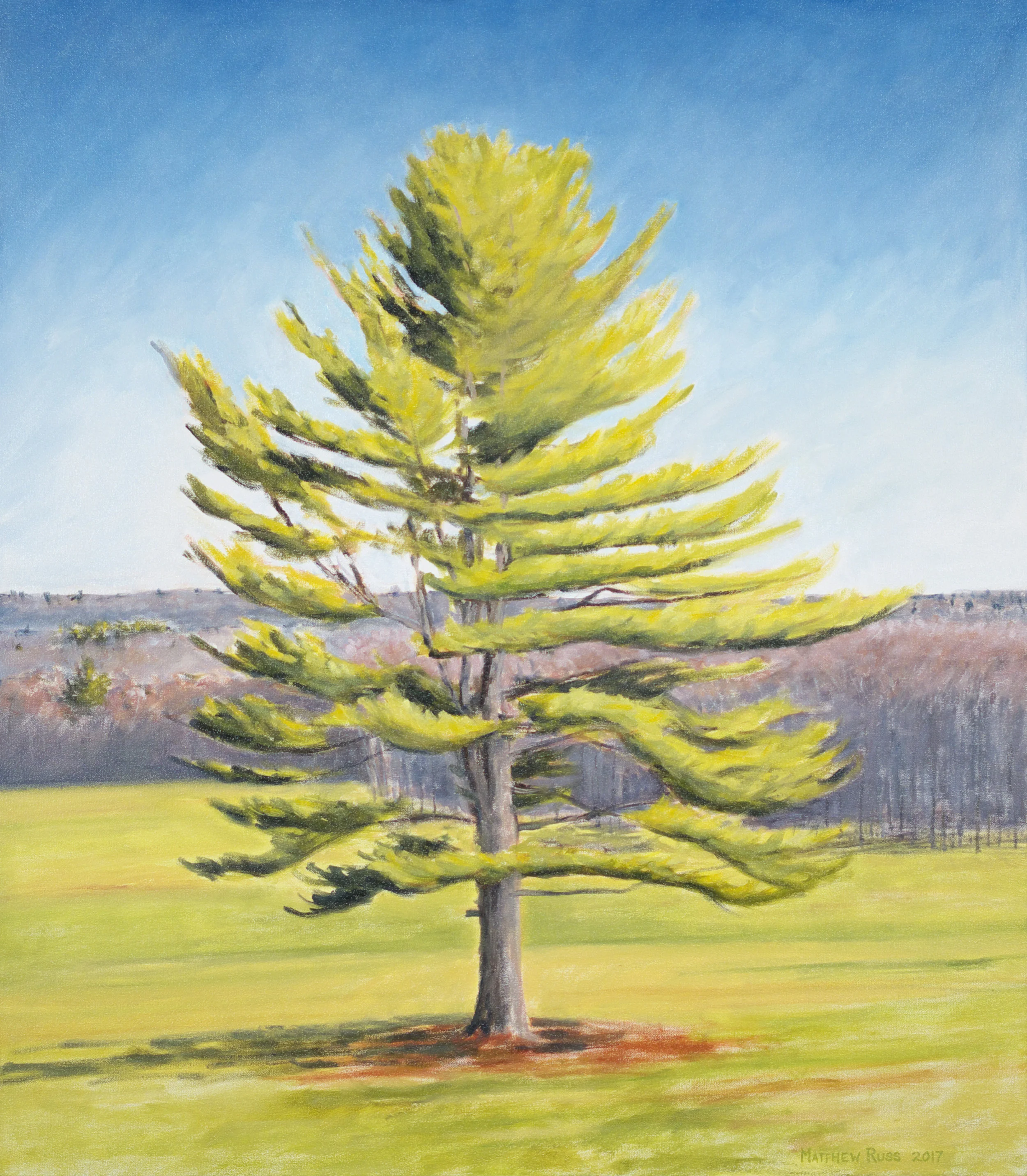 Spring at Pine Ridge #5, 2017, Oil on Canvas, 32" x 28"