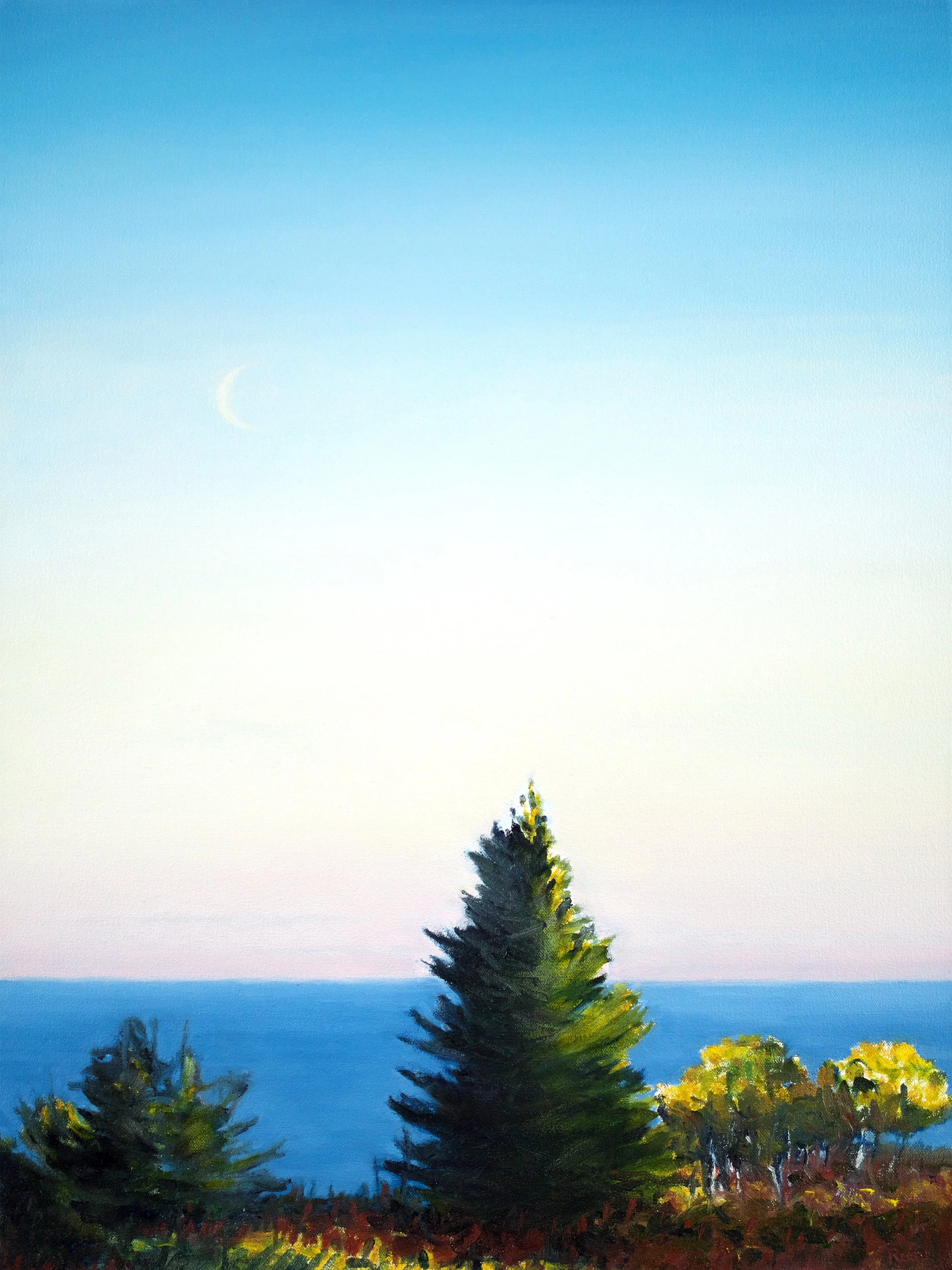 Matthew Russ, Trees on Allen Island #1, 2024, Oil on Canvas, 24” x 18”