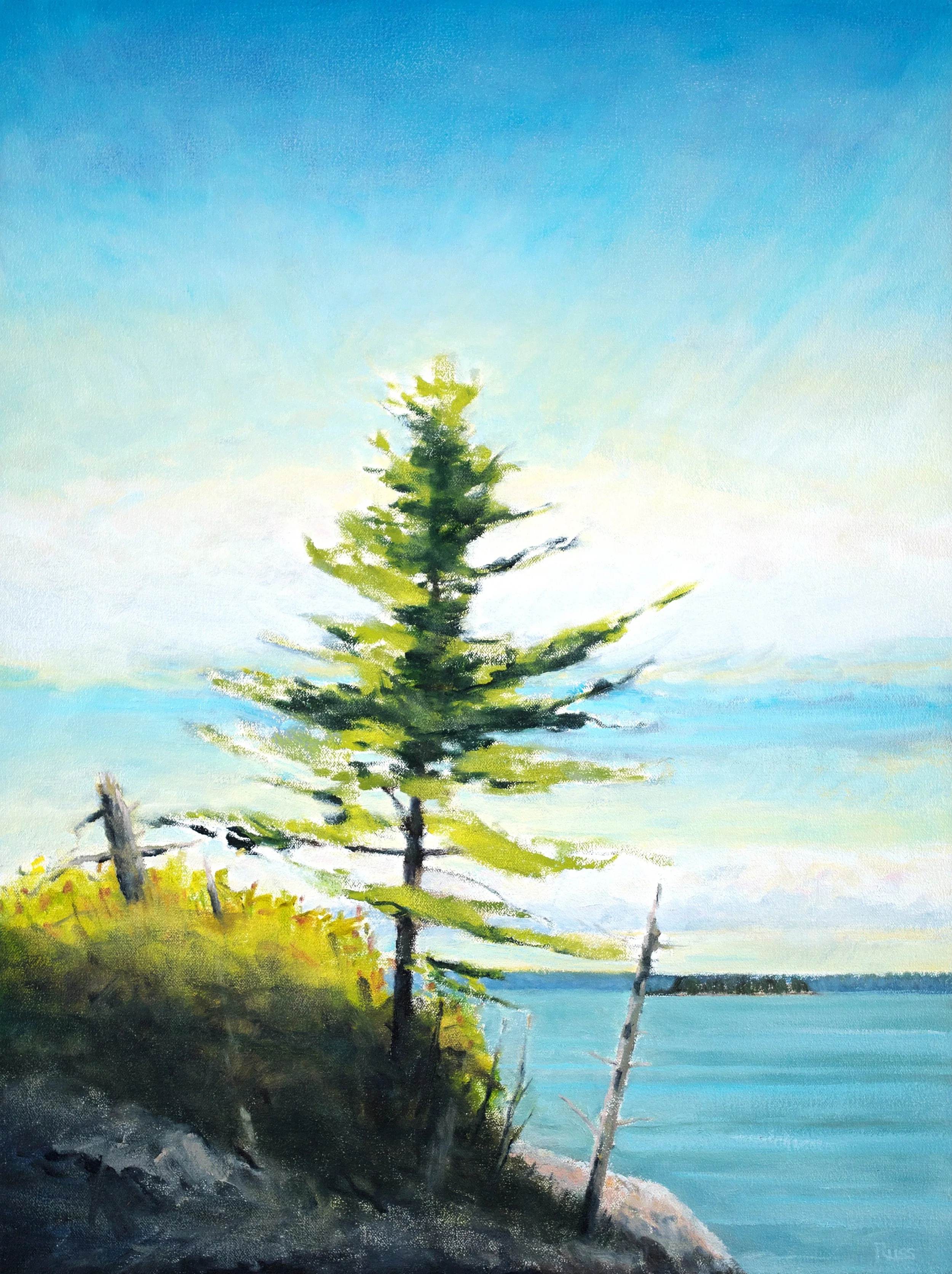 Matthew Russ, Trees on Allen Island #2, 2024, Oil on Canvas, 24" x 18"