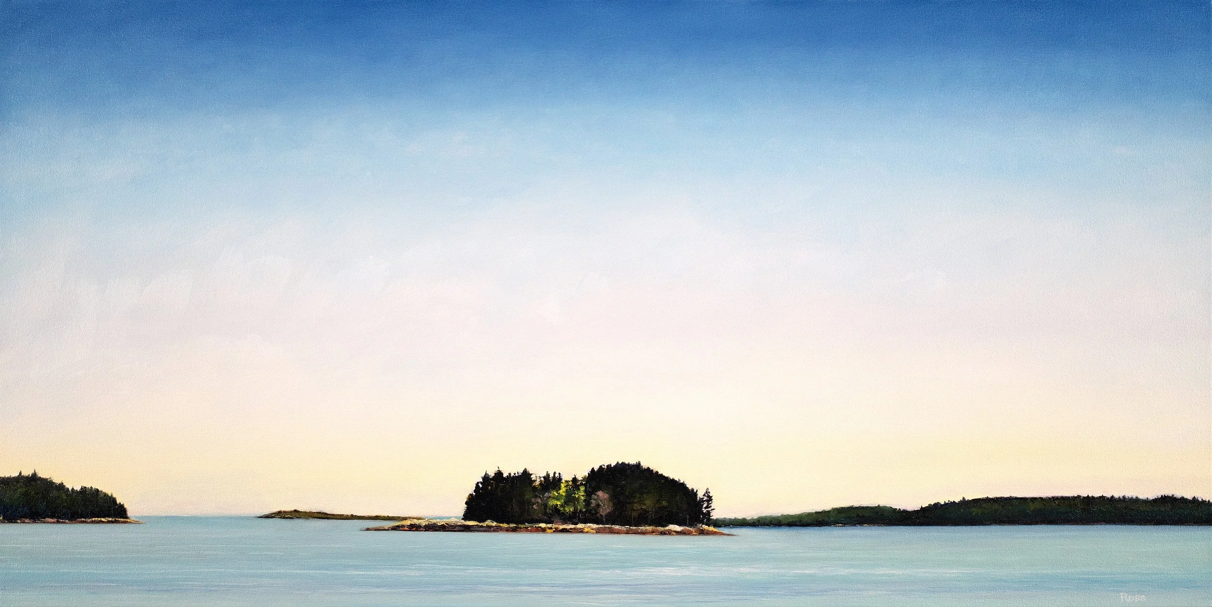 Matthew Russ, View from Porter Preserve, 2024, Oil on Canvas, 20" x 40"