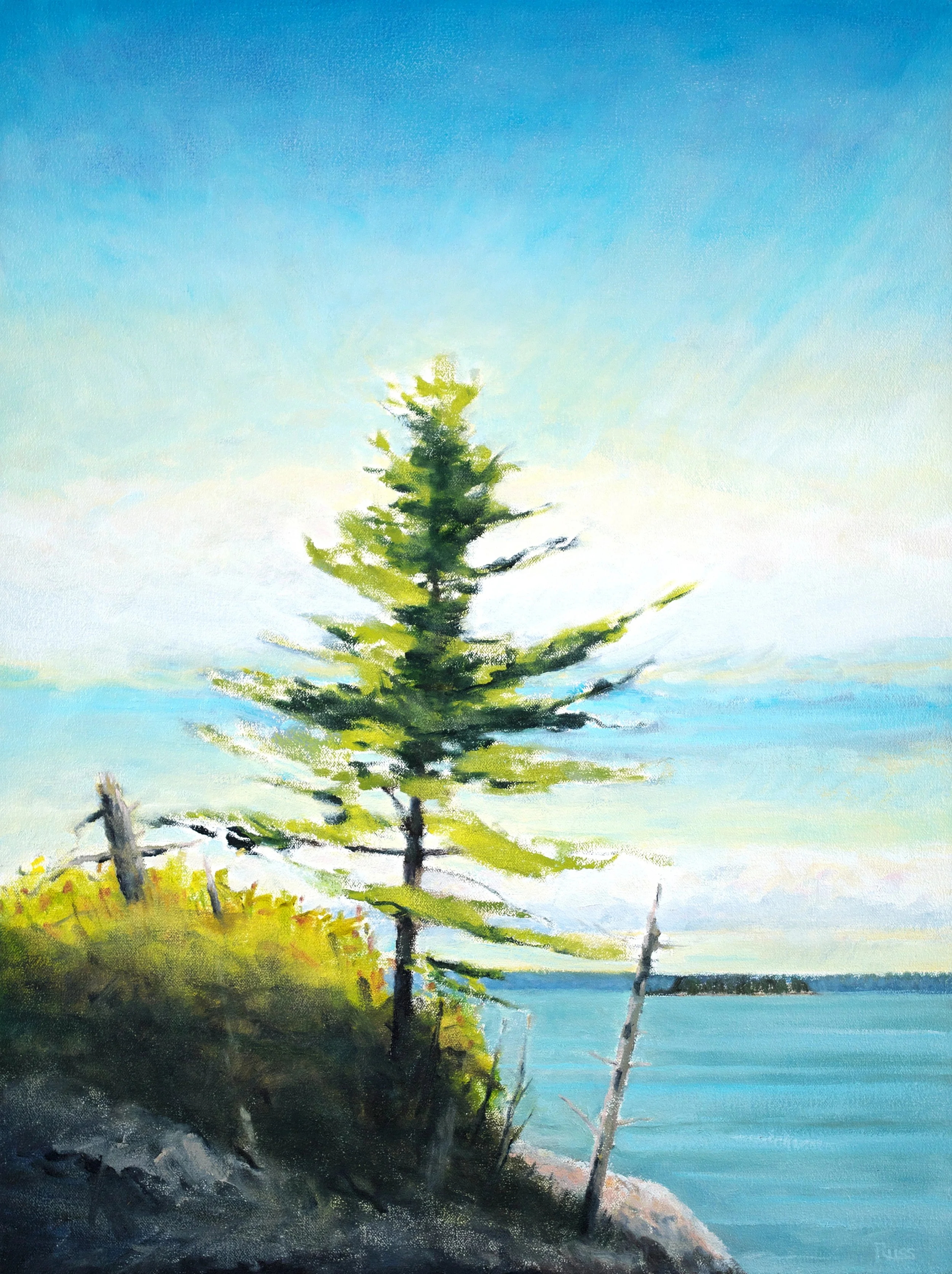 Matthew Russ, Trees on Allen Island #2, 2024, Oil on Canvas, 24" x 18"