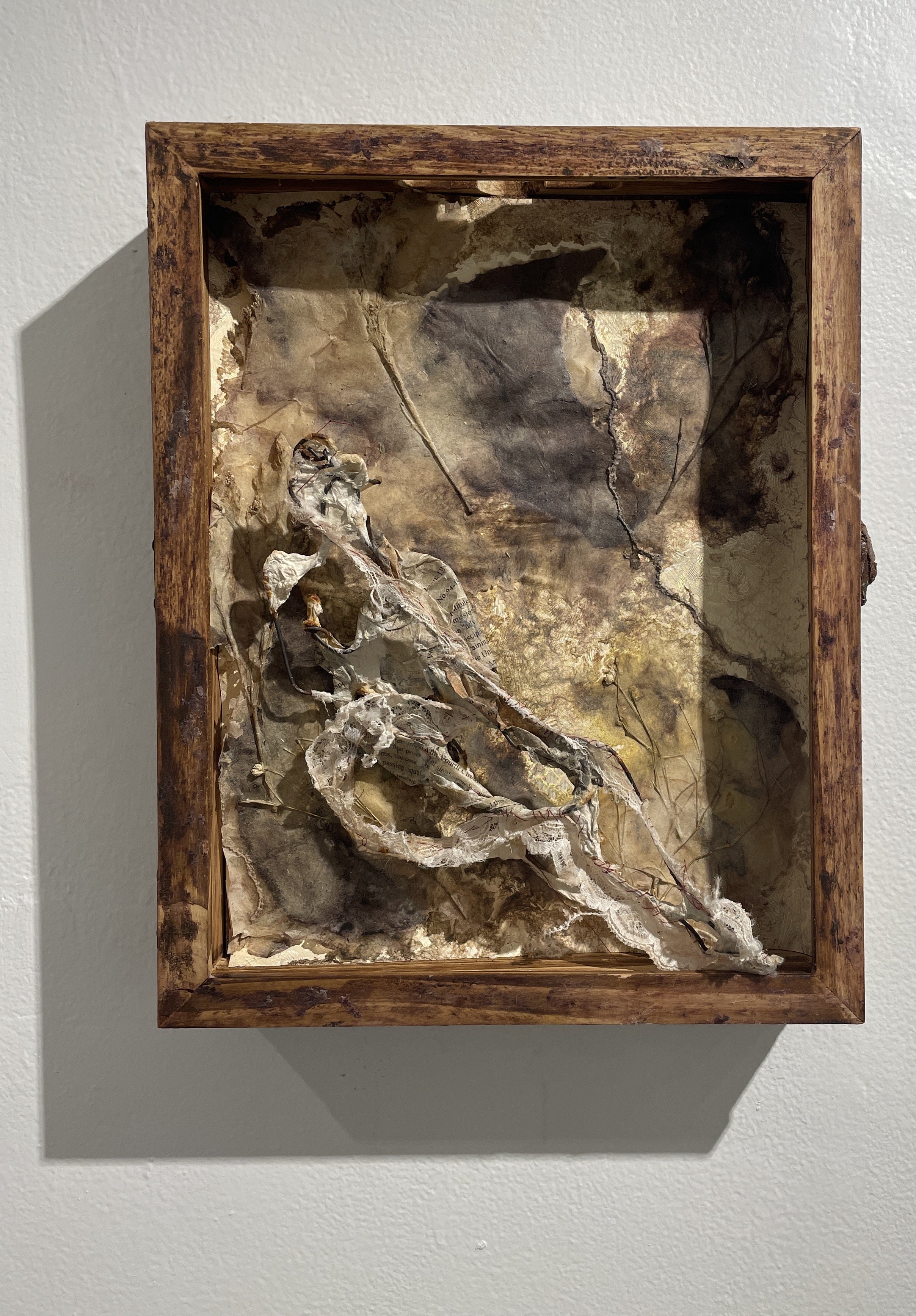  Sonja Czekalski&nbsp;   Lady Garden #3   2021  Steel wire, my grandmother's lace, yellow wallpaper, dried flowers, natural dyes, handmade paper, antique frame. 