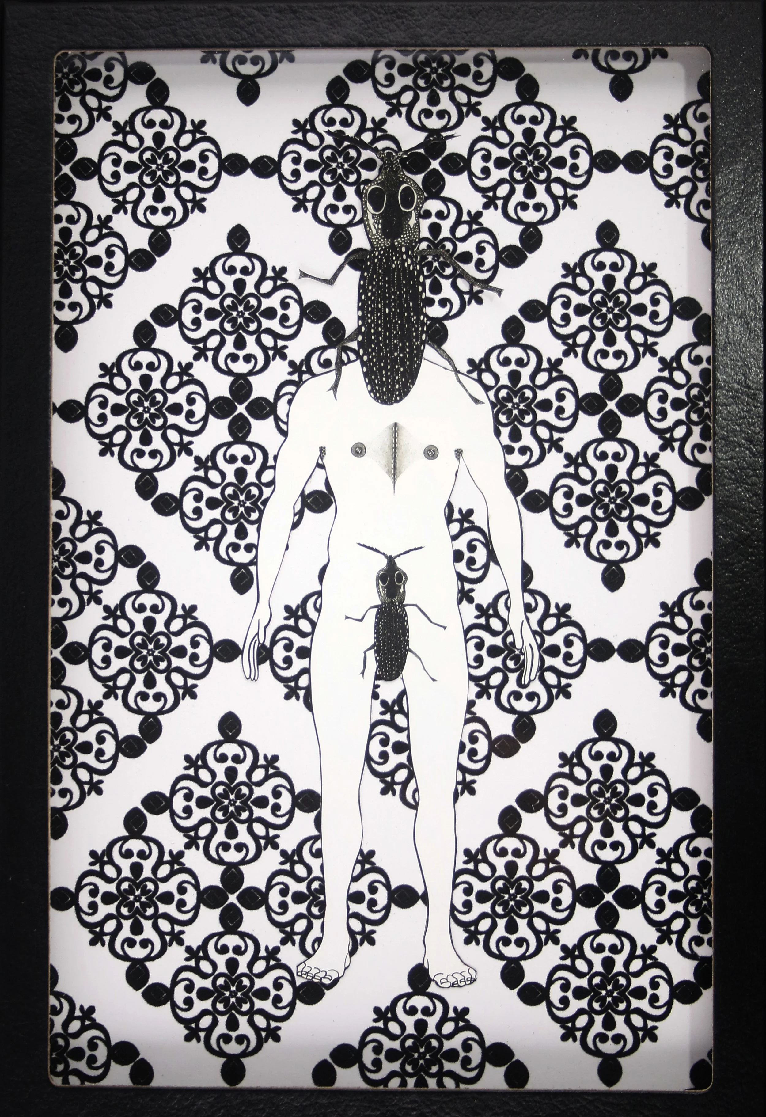 Trachtenberg_Monster Box Clcik Beetle 2.jpg