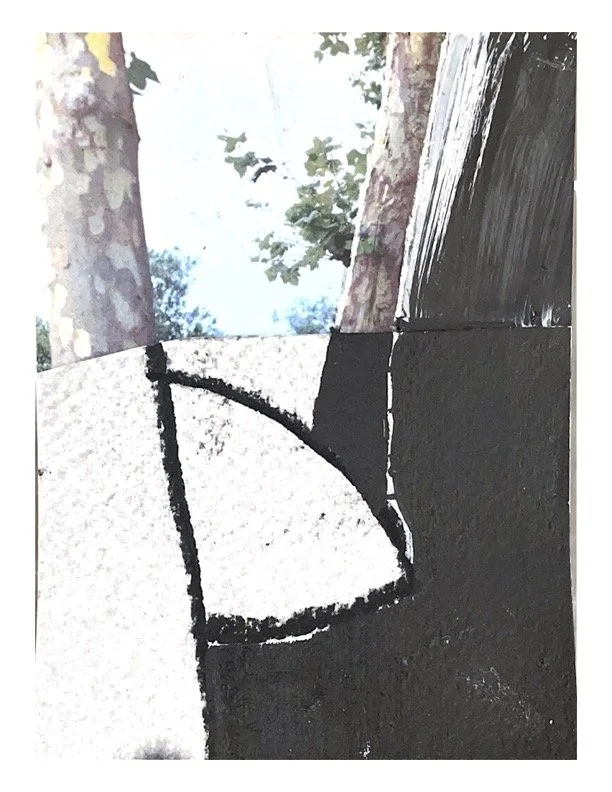 Sue McHally View.jpg