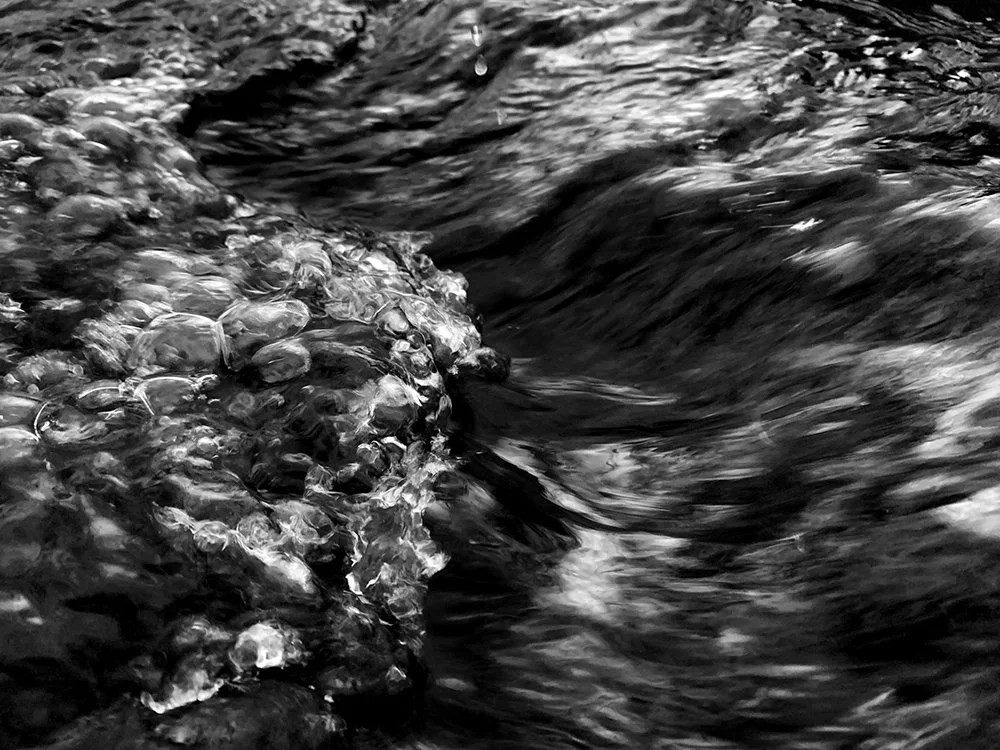 _Ebb and Flow_ Susan G Sancomb.jpg